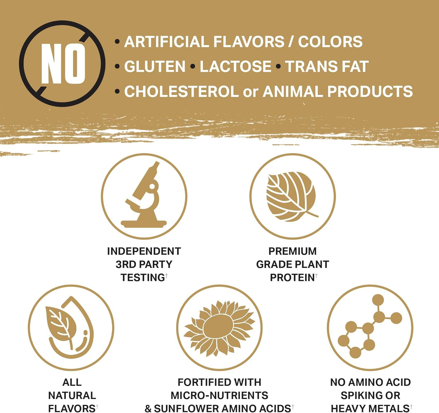 Organic Plant-Based Protein Bar - Ambrosia Planta | Vegan & Keto Friendly