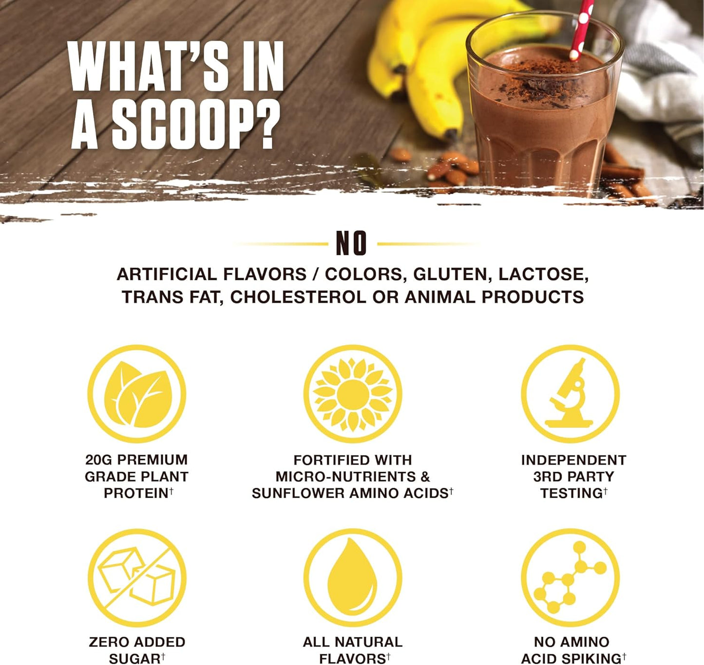 Organic Plant-Based Protein Powder - Vegan & Keto Friendly with Gourmet Banana Maple Flavor | No Added Sugar | 14 Servings | Non-Bloating Formula