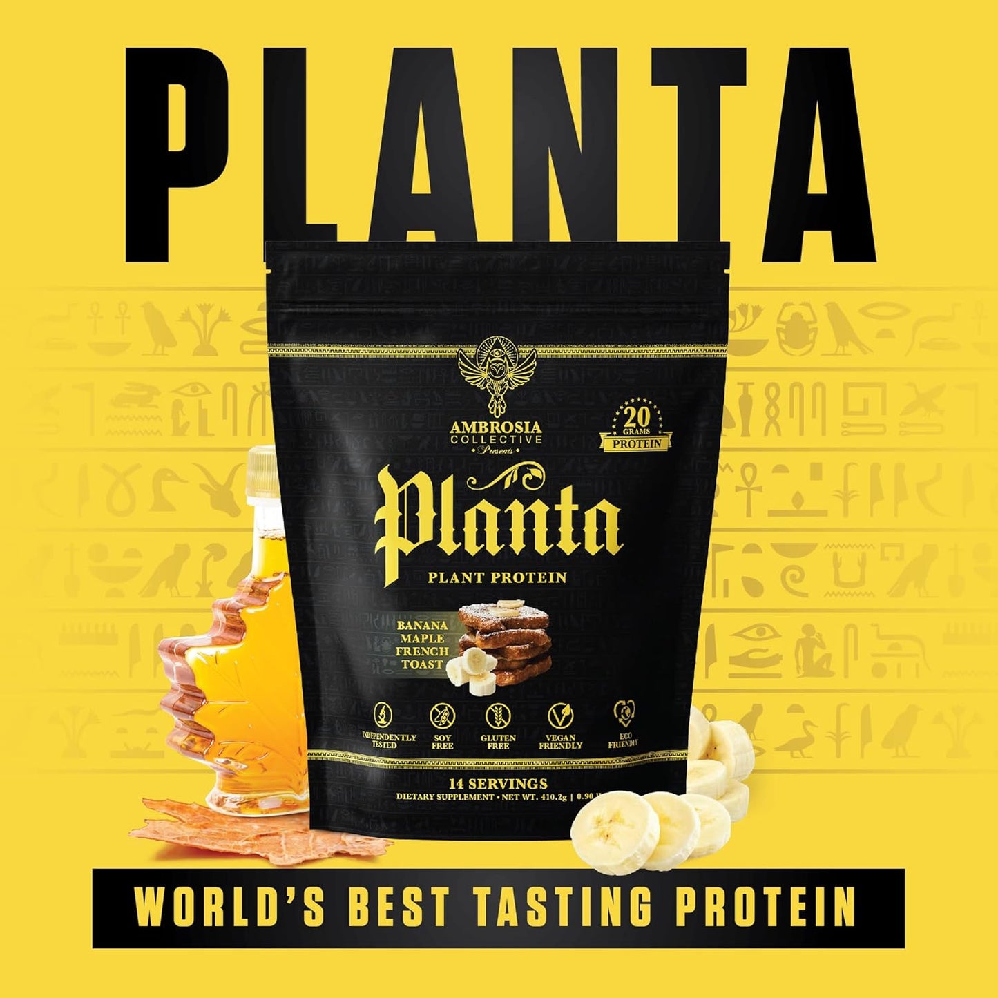 Organic Plant-Based Protein Powder - Vegan & Keto Friendly with Gourmet Banana Maple Flavor | No Added Sugar | 14 Servings | Non-Bloating Formula