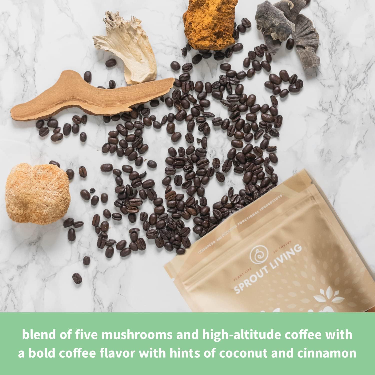 Organic Plant-Based Protein Powder with Adaptogens, Mushrooms, and Superfoods - Complete Coffee Flavor (1lb, 12 Servings) - BoostGo Australia