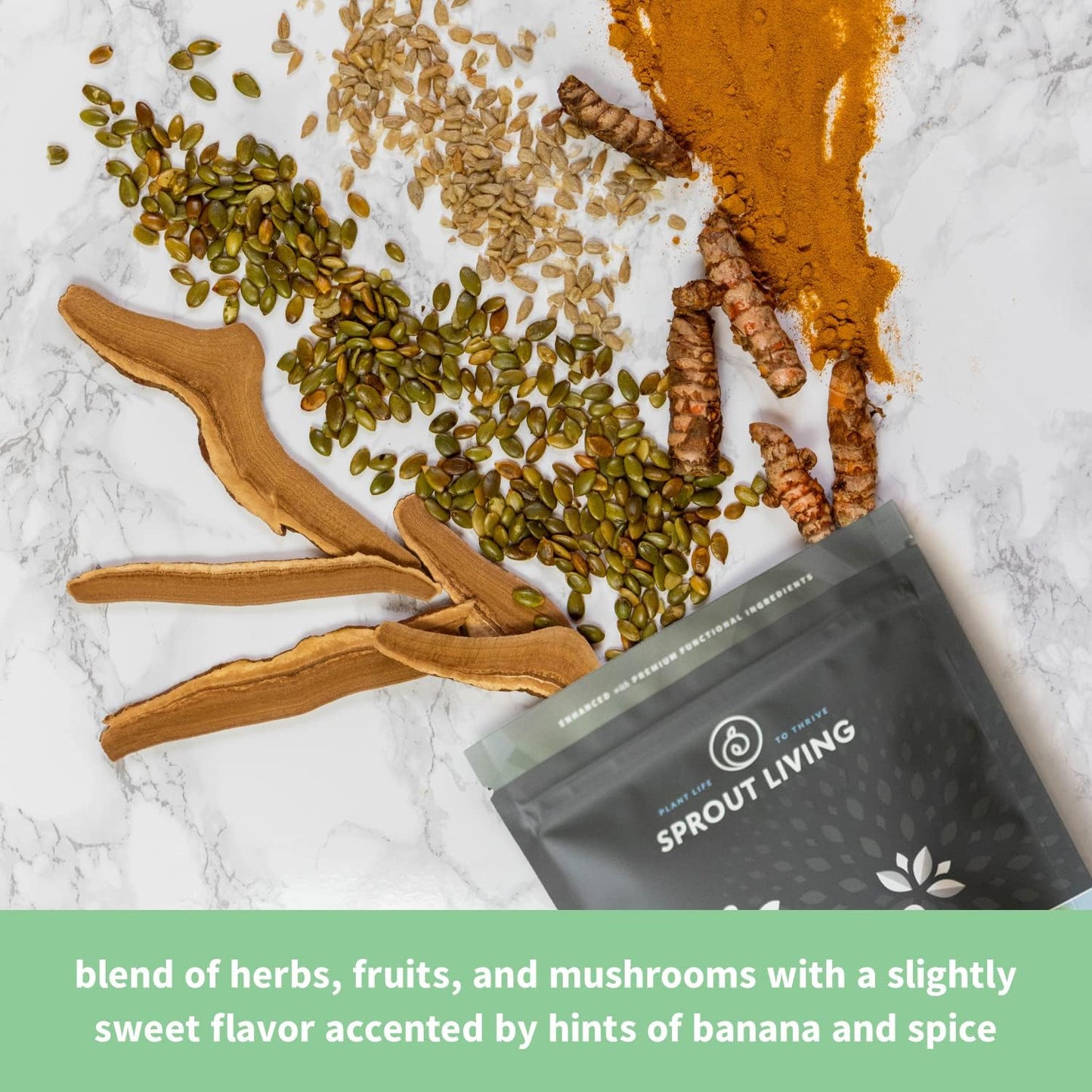 Organic Plant-Based Protein Powder with Superfoods for Recovery - 24g Protein | Vegan, Non-Dairy, Non-GMO, Gluten Free, Low Sugar - 1lb