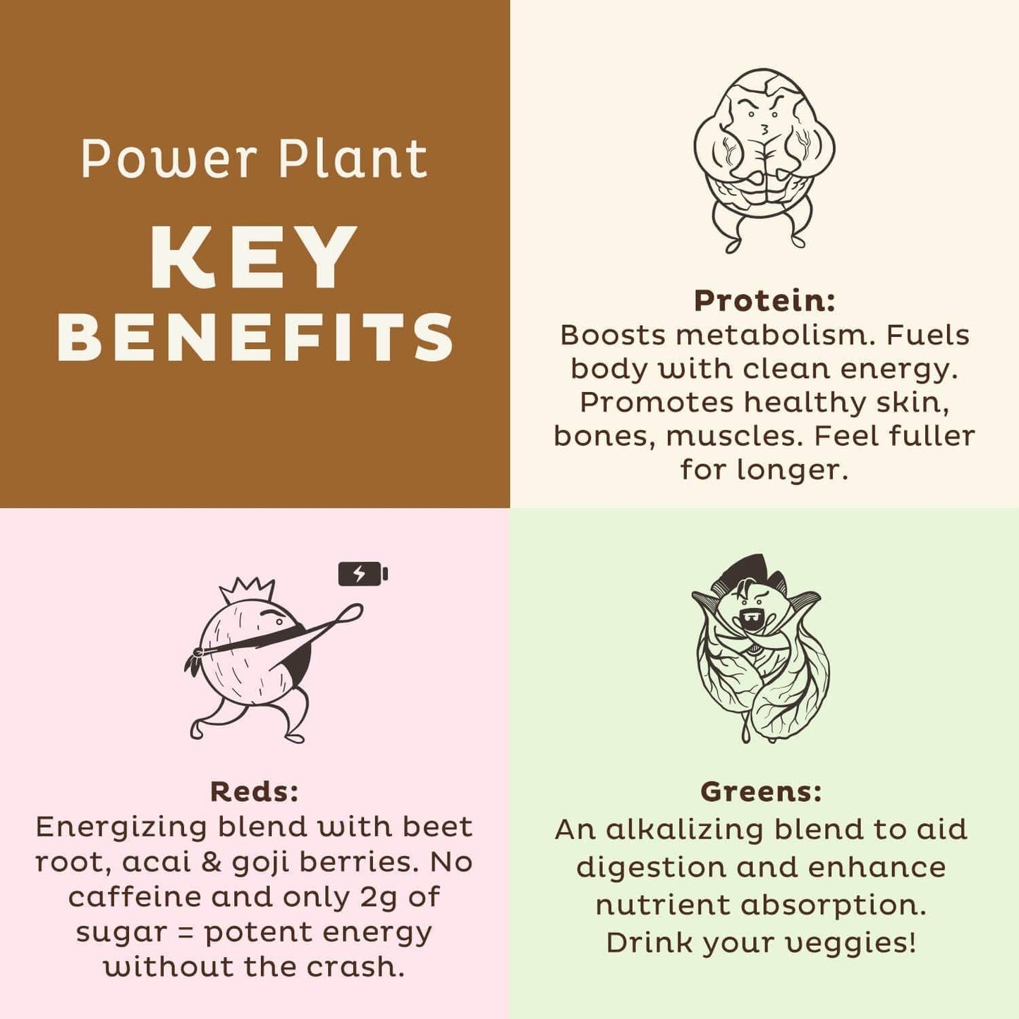 Organic Plant-Based Vanilla Protein Powder with Reds and Greens Bundle by KOS PowerPlant