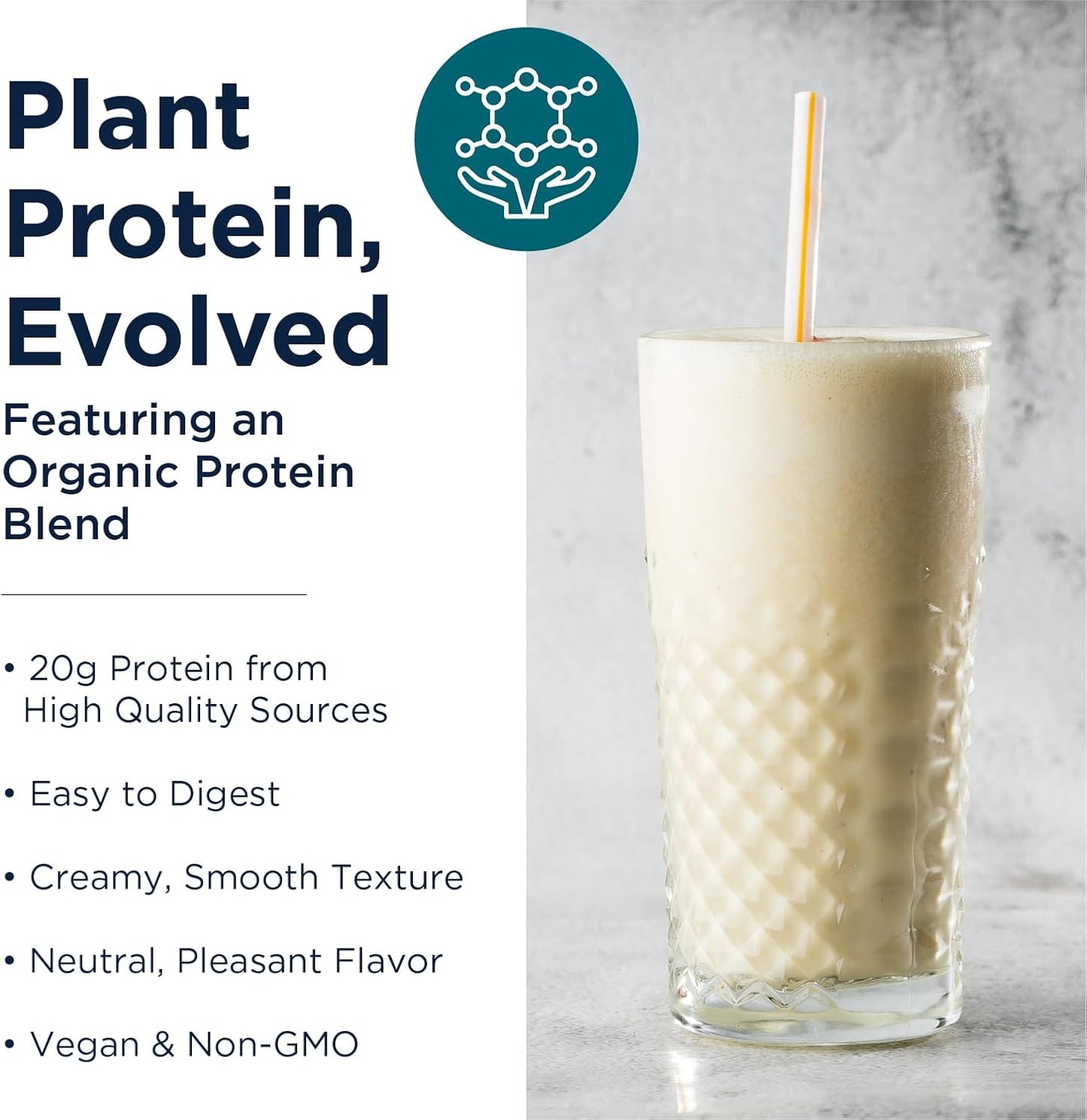 Organic Plant Protein Powder with Rice, Sacha Inchi, Pumpkin Seed, Sunflower Seed & Pea Blend - Creamy Vanilla Flavor - 20g Protein - 465g