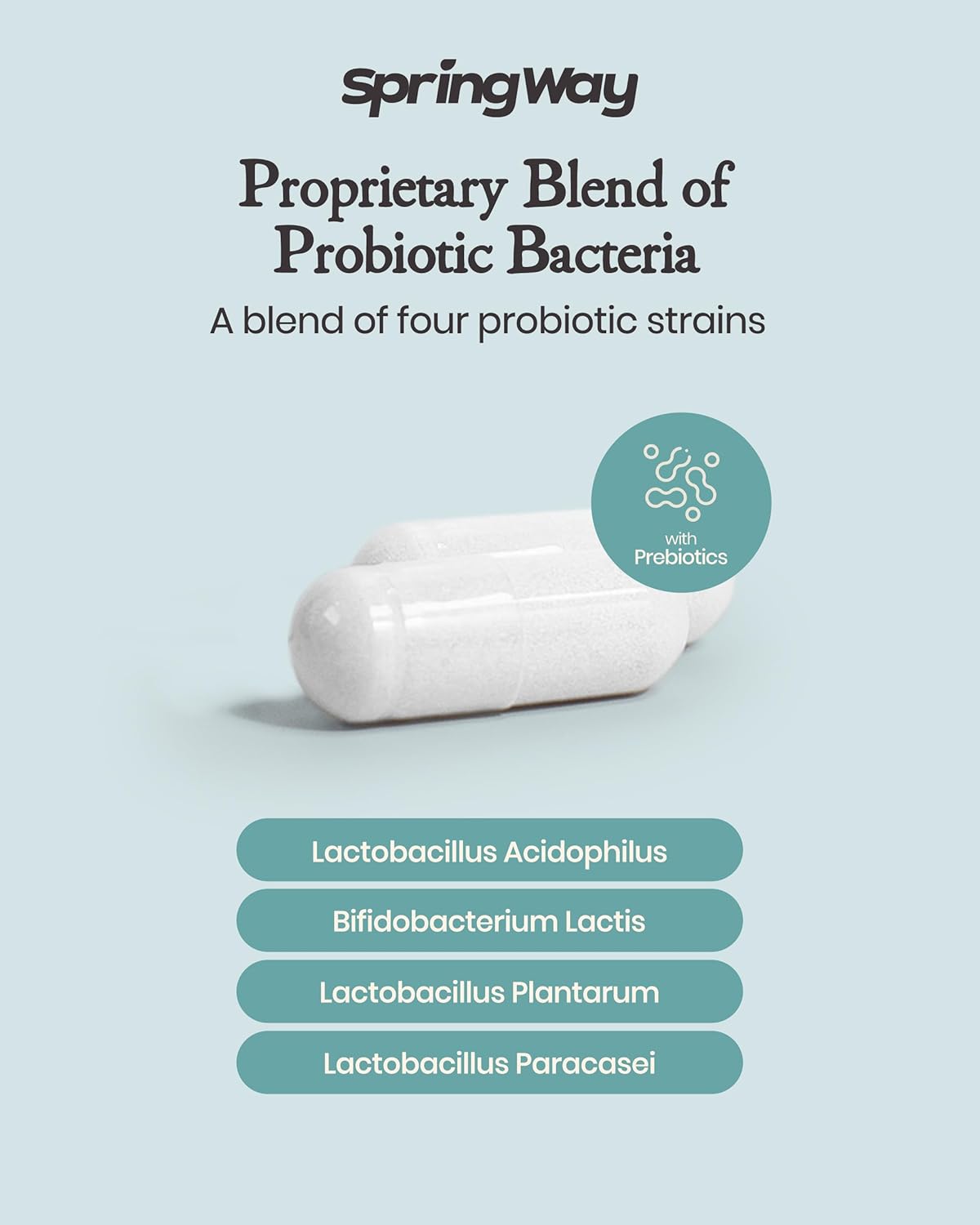 Organic Prebiotic Probiotic Supplement - 40 Billion CFU for Gut Health - Supports Digestion & Immune System - Non-GMO - 60 Veg Capsules for Men and Women