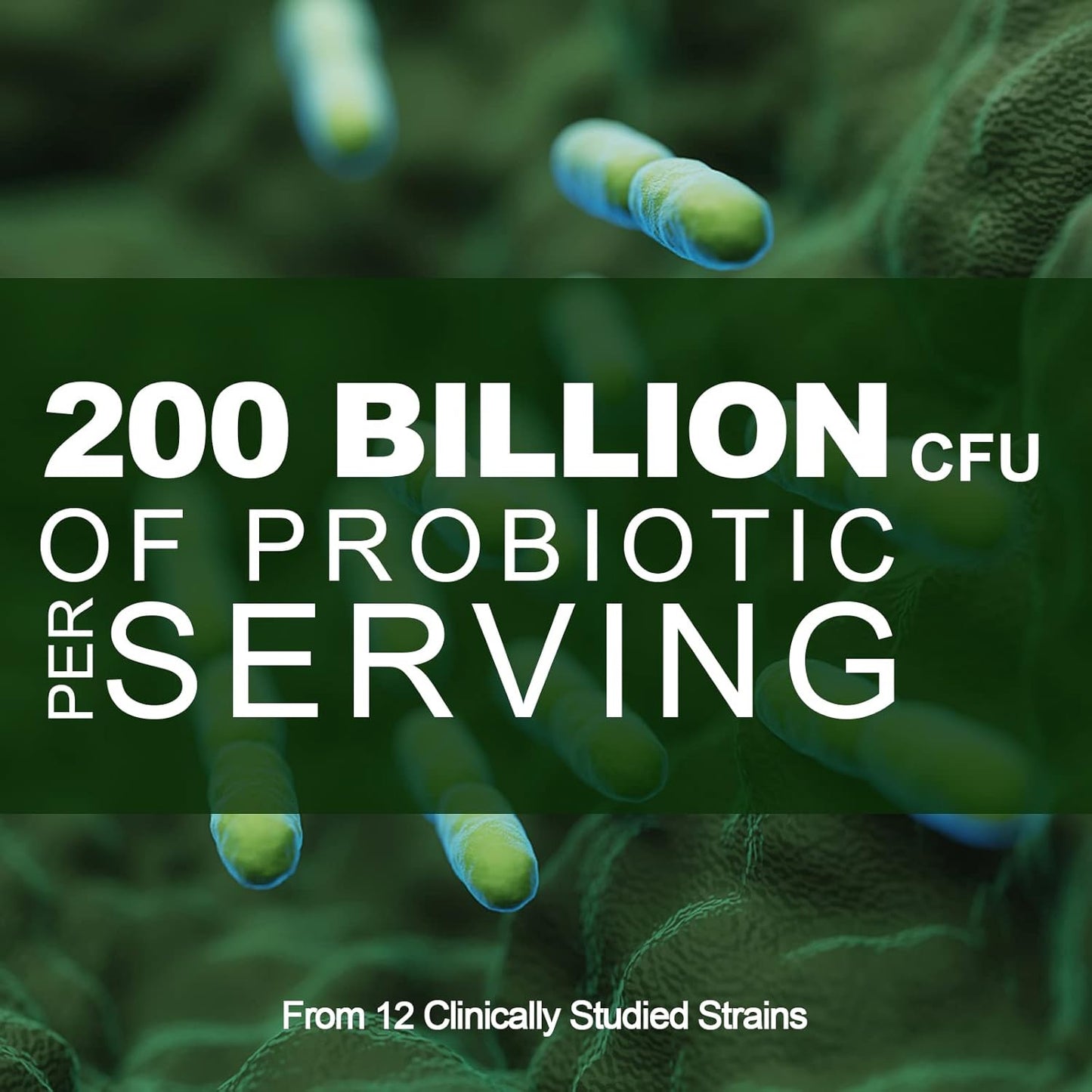Organic Prebiotic Probiotic Supplement 200 Billion CFU Capsules for Digestive and Gut Health