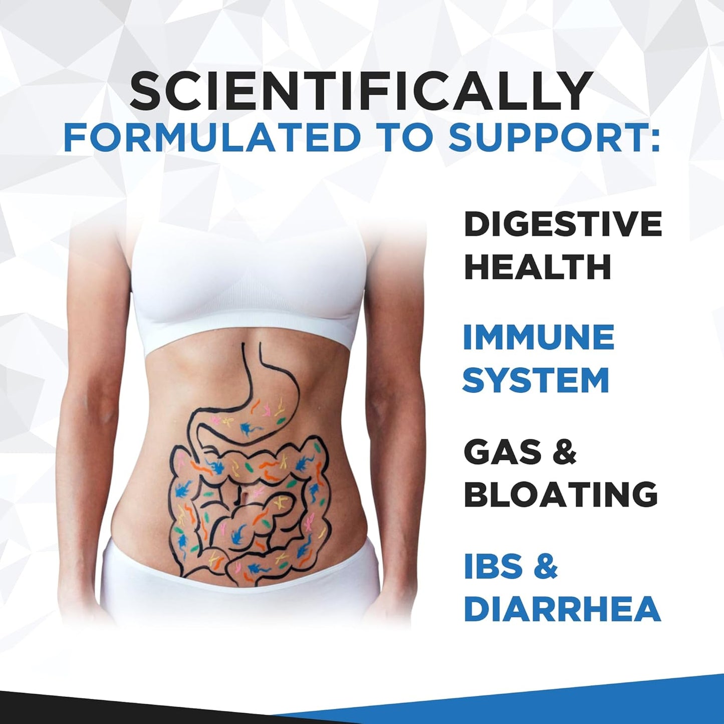 Organic Probiotic Blend 60 Billion CFU Capsules for Digestive Health - Multi Strain Probiotics with Prebiotics - Natural Foundation Supplements for Men & Women