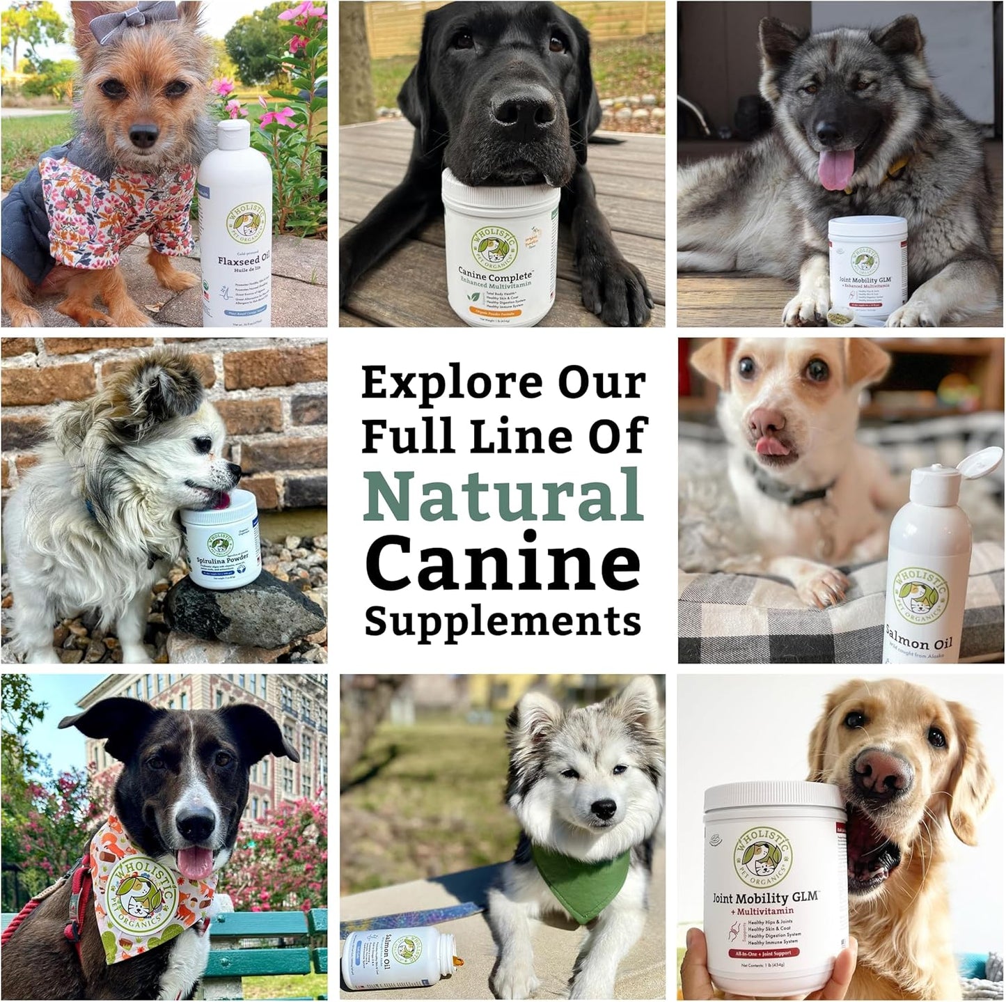 Organic Pumpkin Dog Vitamins & Supplements - Wholistic Canine Complete - 8 Oz - Probiotics & Fiber - Digestion, Skin & Coat Health