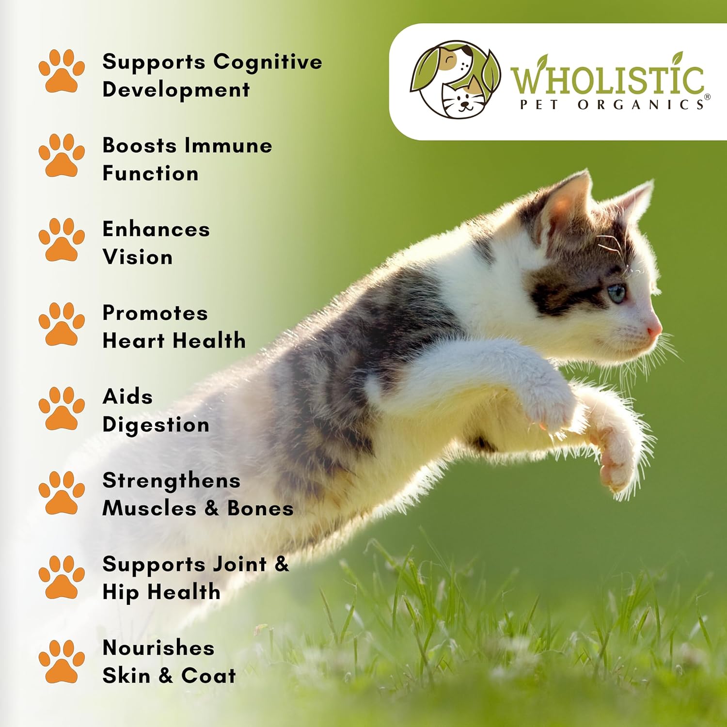 Organic Pumpkin Multivitamin & Probiotic Powder for Cats - 4 Oz - Digestive Support & Natural Cat Food - Wholistic Pet Organics