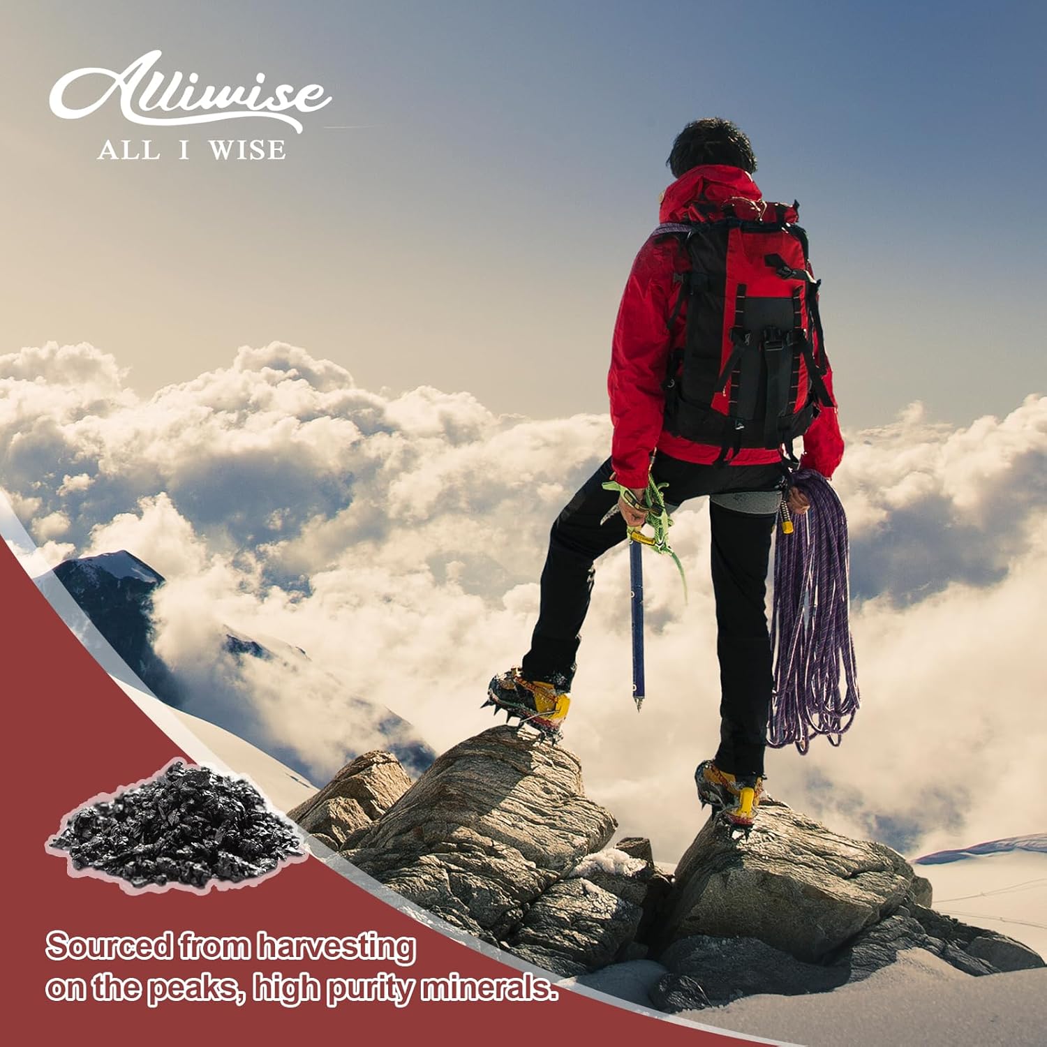 Organic Pure Himalayan Shilajit Liquid Drops for Energy & Immune Support - Golden Supplement with Fulvic Acid & 85+ Trace Minerals for Men & Women