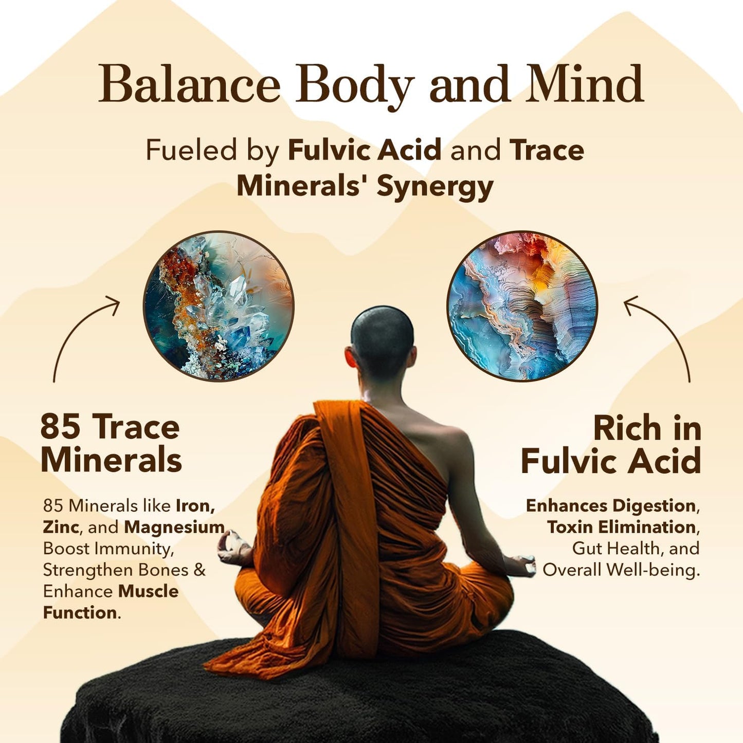 Organic Pure Himalayan Shilajit Resin - 85+ Trace Minerals & Fulvic Acid - Energy & Immune Support - Men & Women - Gold Grade - 800MG - 60+ Servings