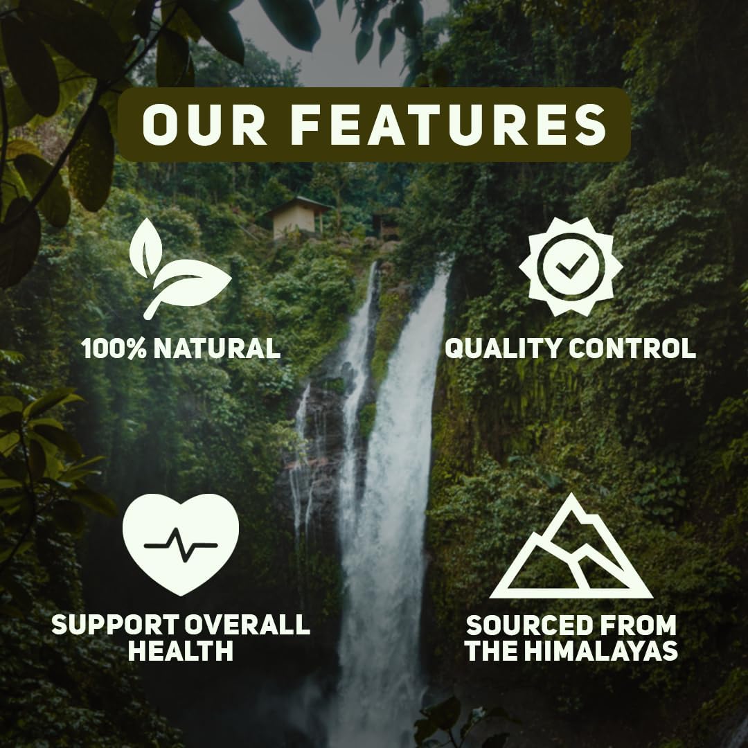 Organic Pure Himalayan Shilajit Resin for Immune Boost | Lab Tested in USA | 74+ Fulvic Acid | 175 Servings, 35g Jar (Pack of 2)