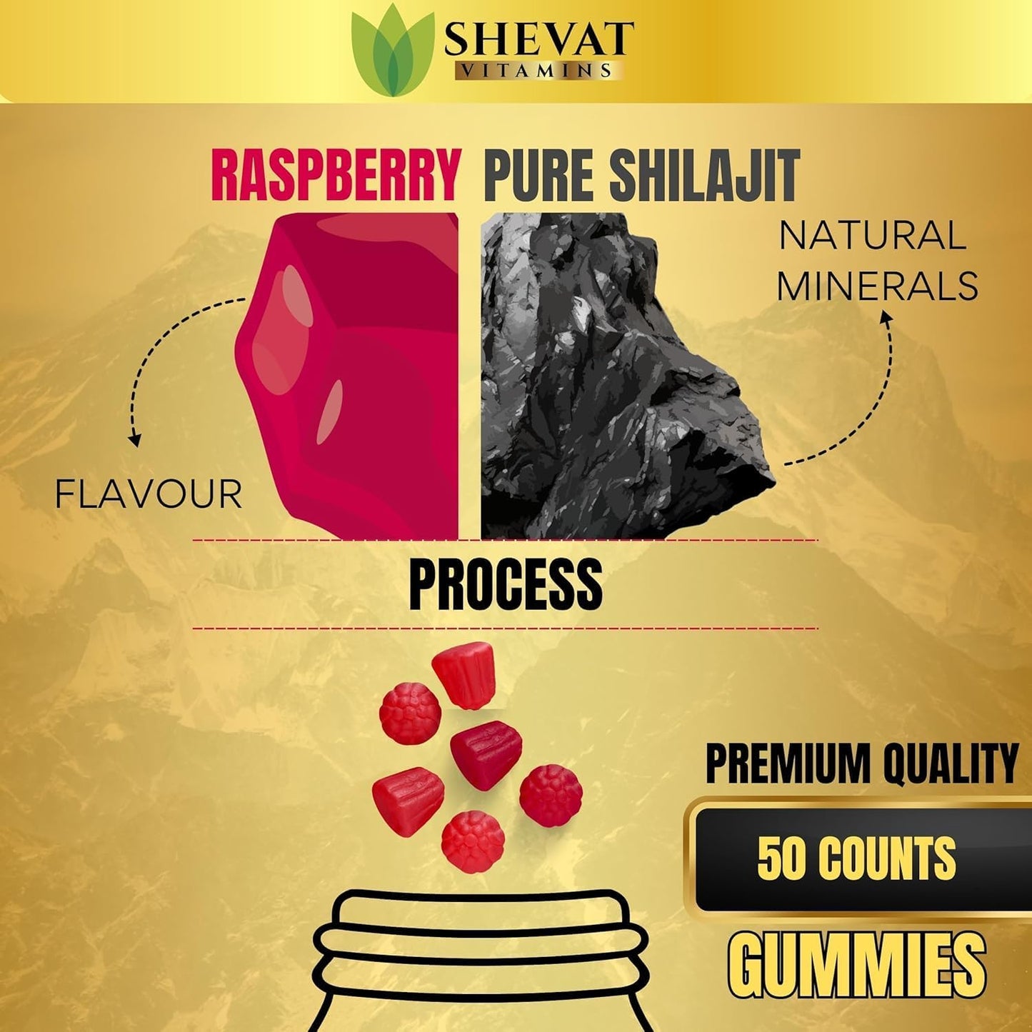 Organic Raspberry Shilajit Gummies 1000mg - Pack of 2 for Men & Women with Trace Minerals and Fulvic Acid - Non GMO Authentic SHEVAT VITAMINS