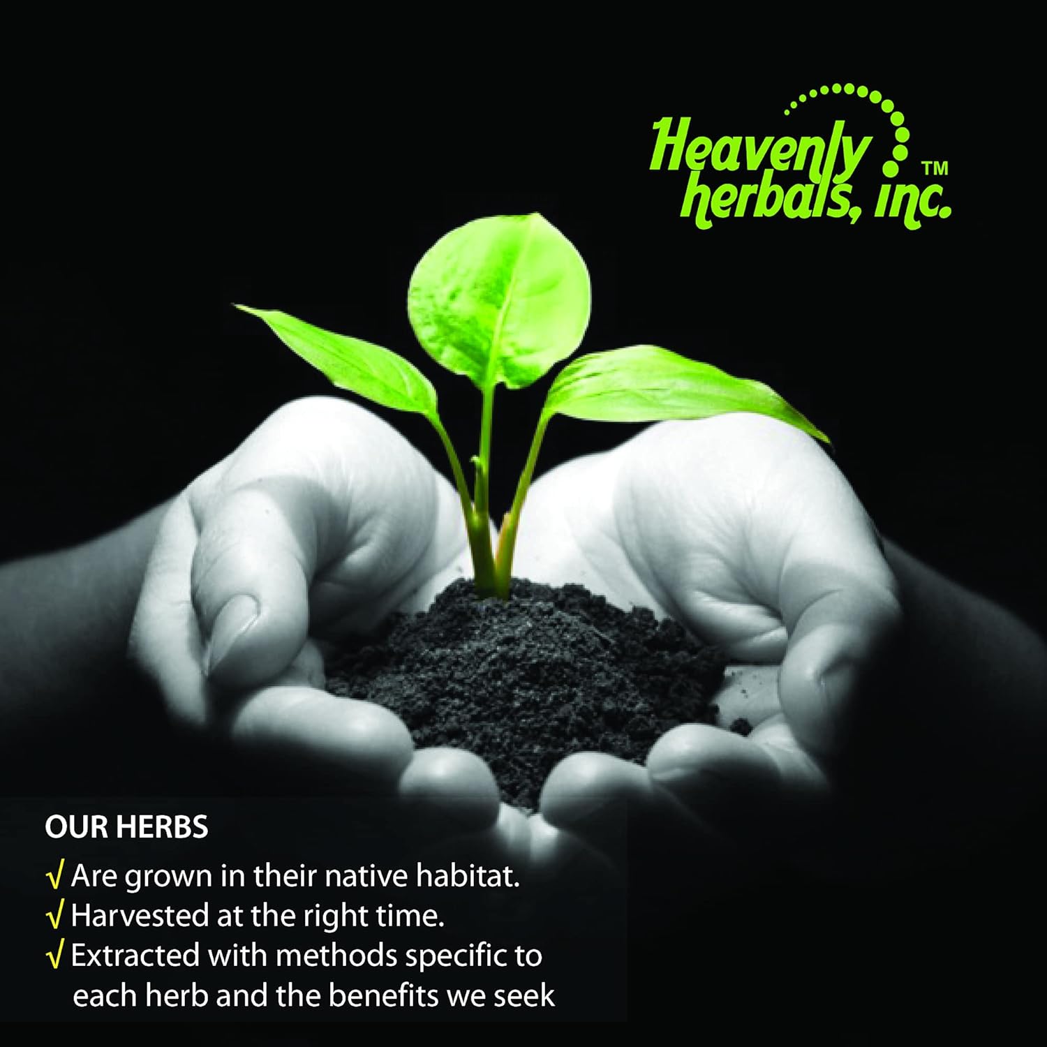 Organic Rauwolfia Capsules - Ayurvedic Herb for Heart Health - Natural Blood Circulation Support - 60 Ct Bottle