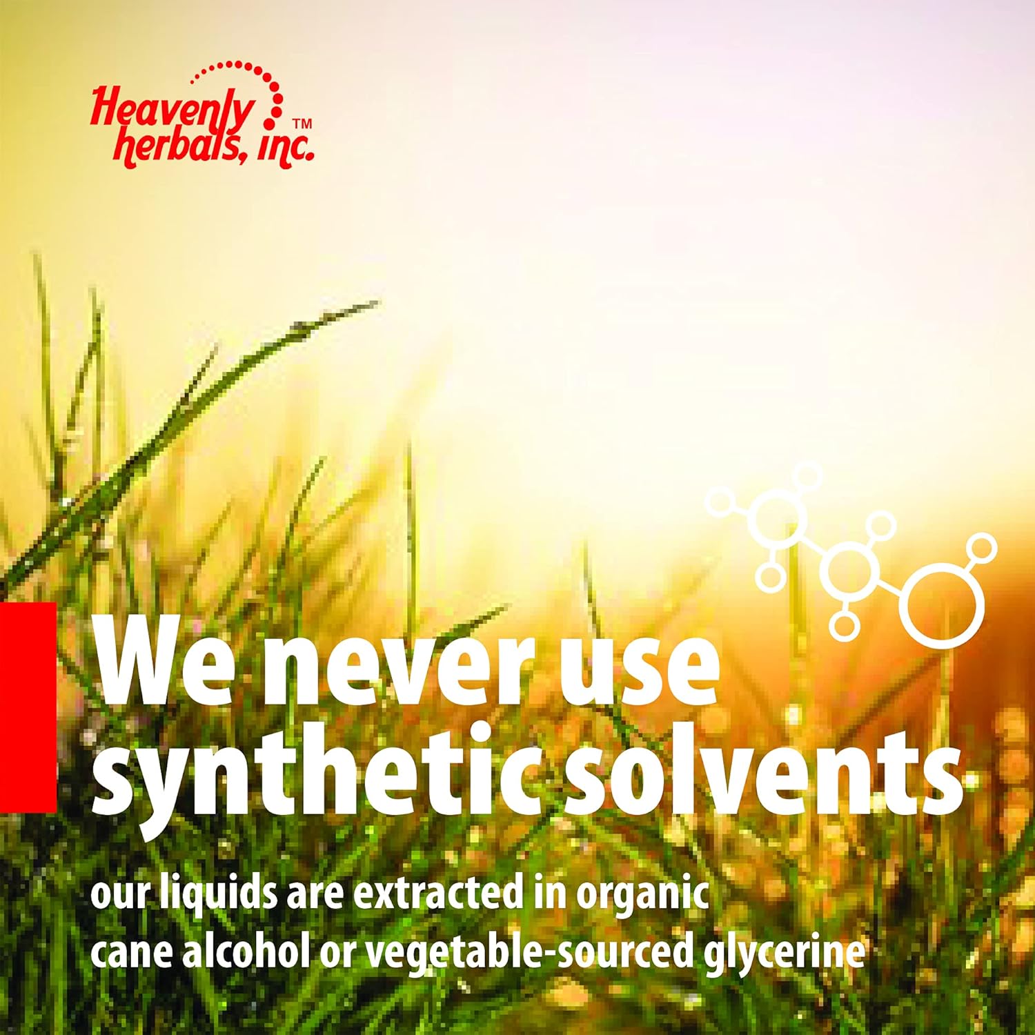 Organic Rauwolfia Capsules - Ayurvedic Herb for Heart Health - Natural Blood Circulation Support - 60 Ct Bottle