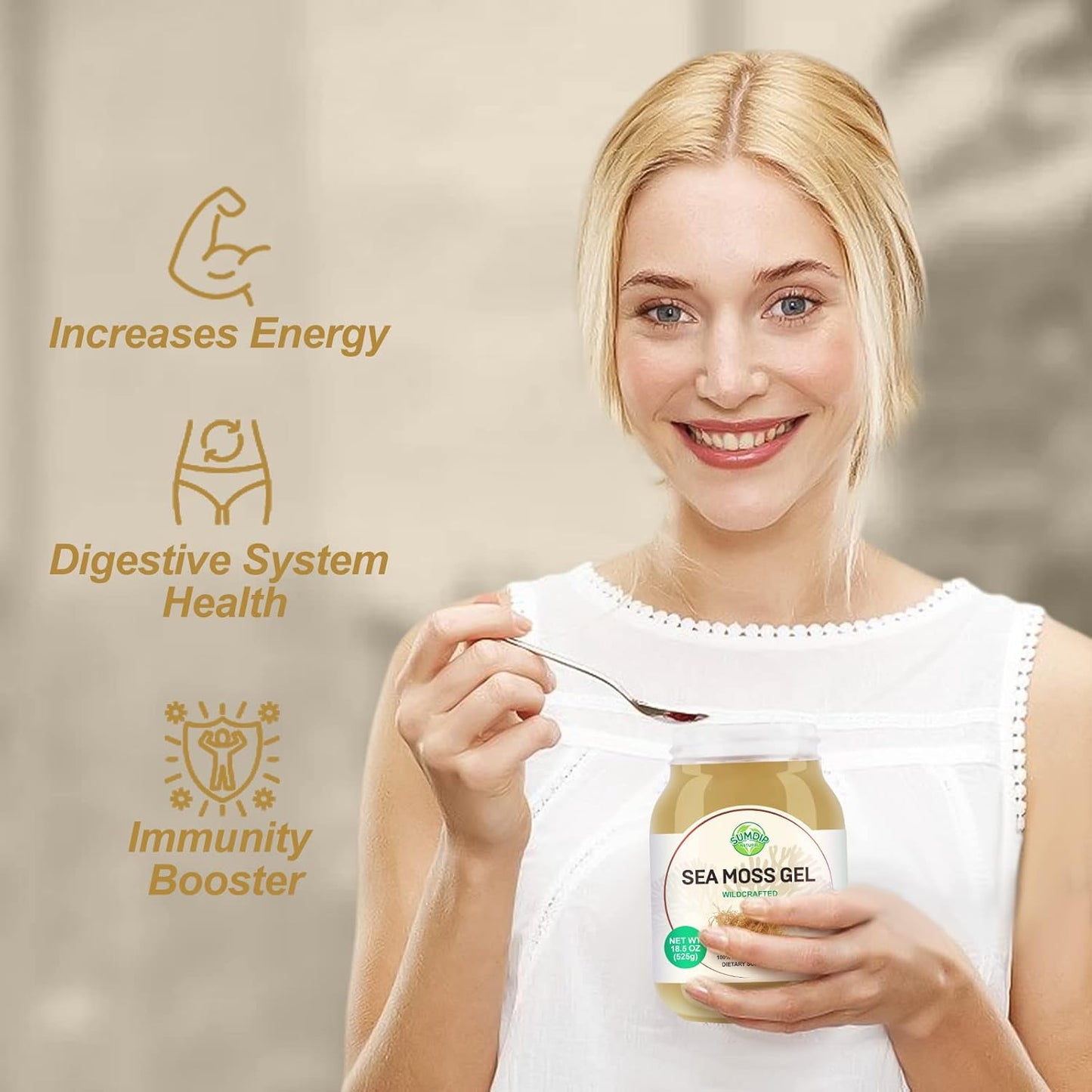 Organic Raw Sea Moss Gel 18.5oz for Immune & Digestive Support - Flavored Irish Seamoss with Vitamins & Minerals