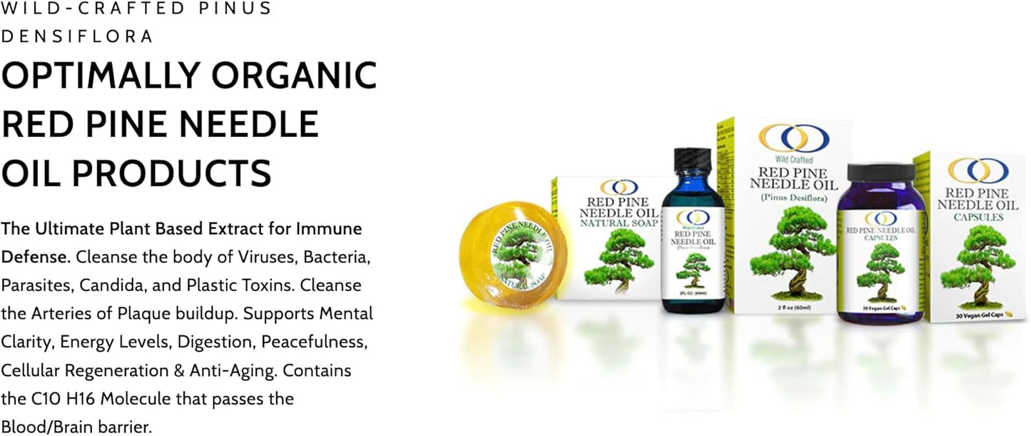 Organic Red Pine Needle Oil Capsules for Immune System Support & Cell Health - Vegan Body Cleanse - Pinus densiflora BioActive Formula