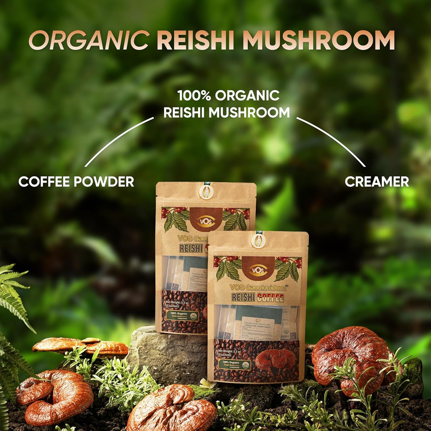 Organic Reishi Coffee Combo Pack: 30 & 10 Sachets, Energy and Immune Support, Mushroom Supplement