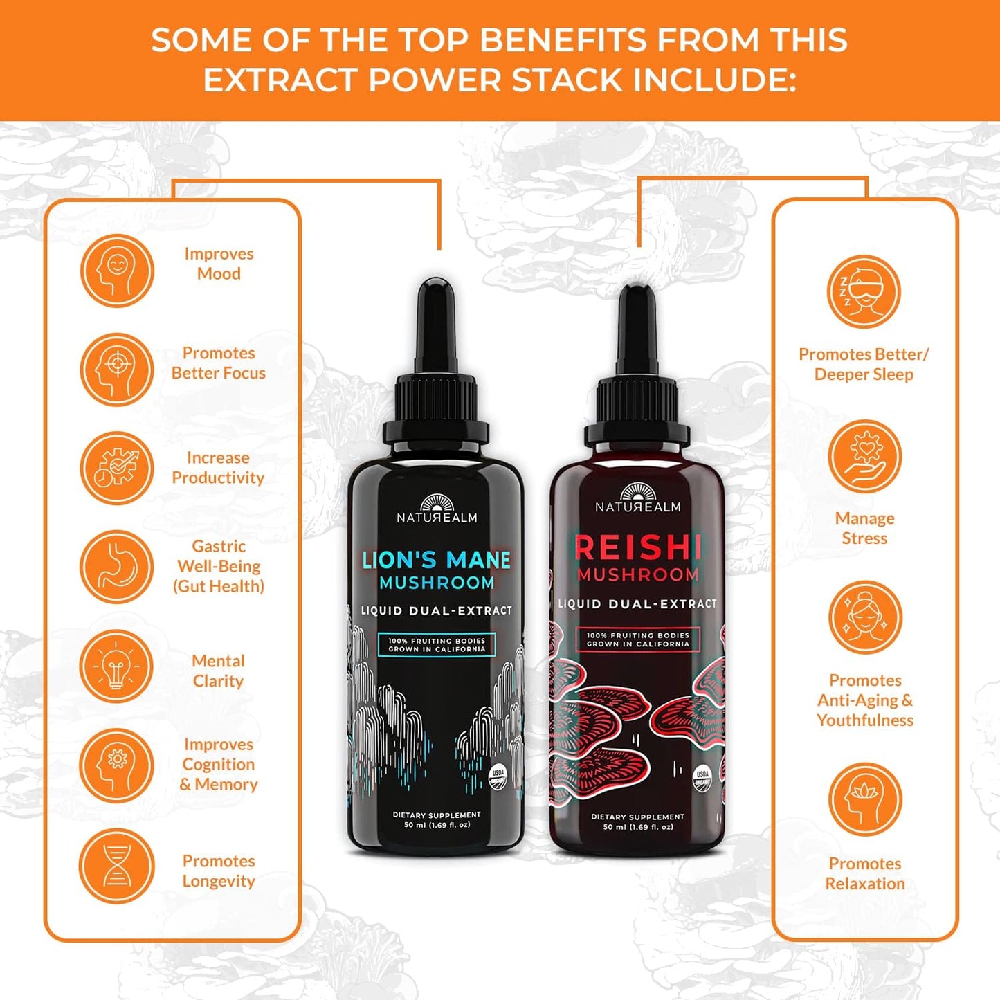 Organic Reishi & Lion’s Mane Mushroom Extract - Adaptogen Stack for Focus, Immunity, Longevity, Gut Health, Energy - Liquid Drops - 50 mL Each (2 Pack)