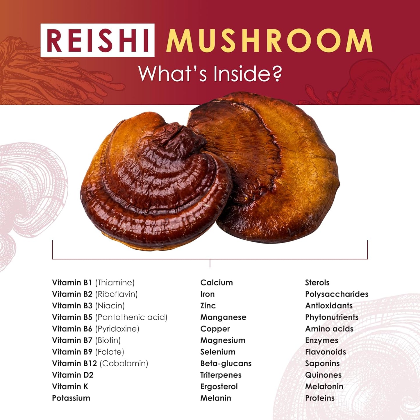Organic Reishi Mushroom Extract Powder for Immune Support, Stress Relief, Better Sleep - 60g - BoostGo Australia