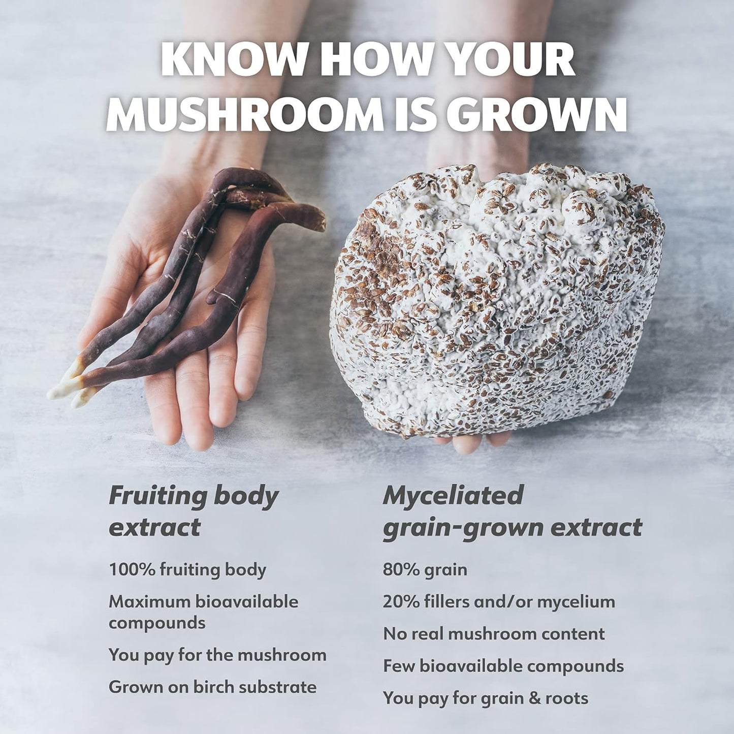 Organic Reishi Mushroom Supplement - 50 Servings of Fruiting Bodies for Sleep and Immune Support