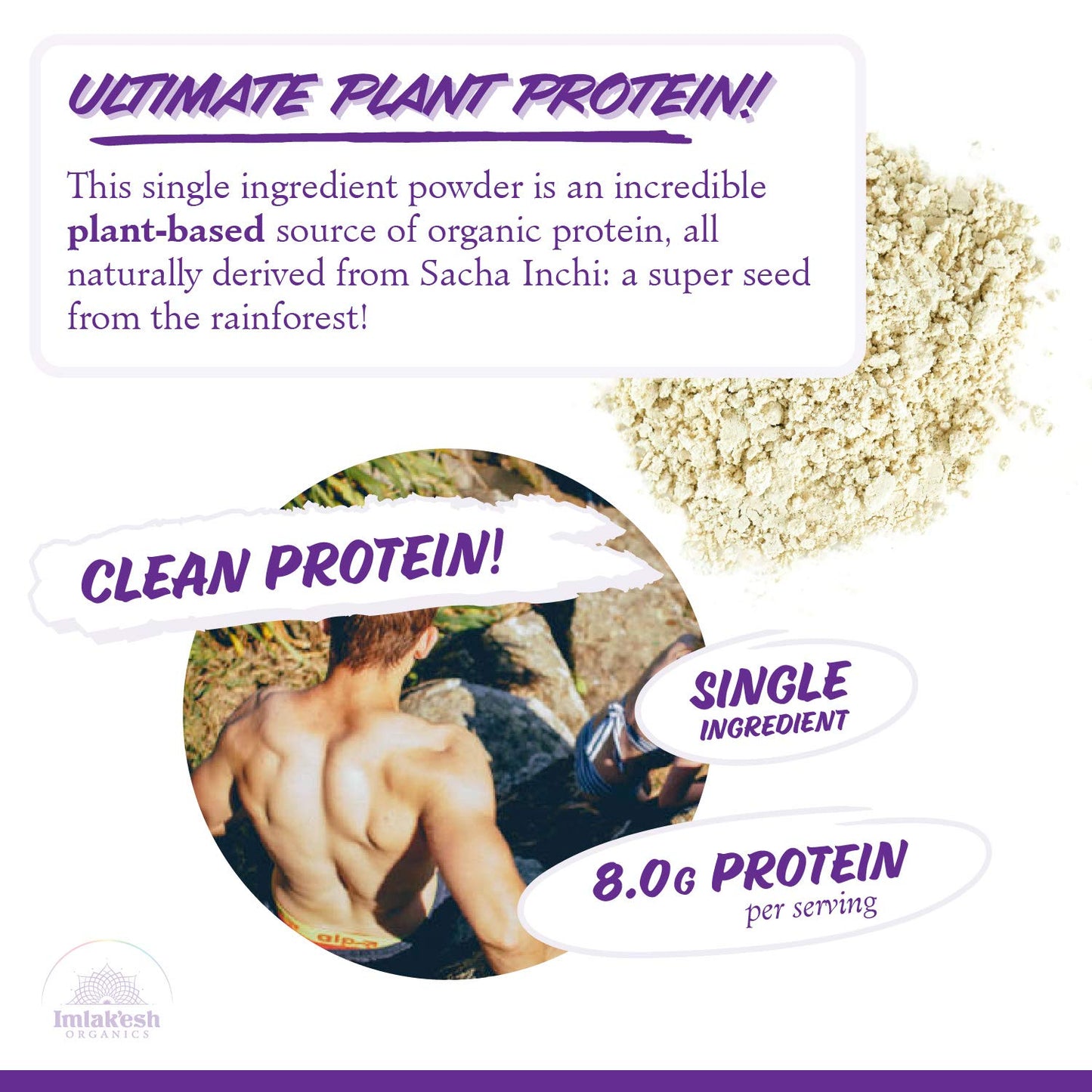 Organic Sacha Inchi Protein Powder - Plant Based Protein for Men and Women - Keto Friendly Low-Carb - Non-GMO, Paleo, Vegan - 14oz Jar