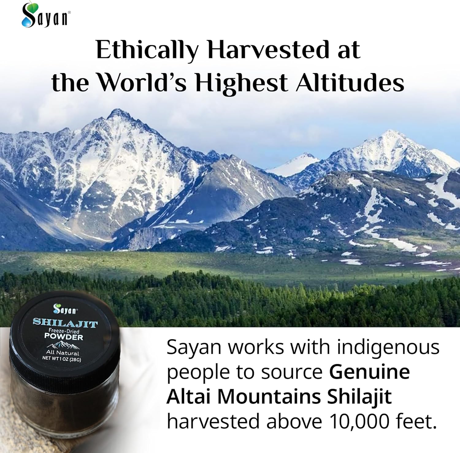 Organic Sayan Shilajit Powder 1oz - Immune System Support, Memory & Focus Booster - Natural Energy Supplement - Vegan & Non-GMO - 5 Months Supply