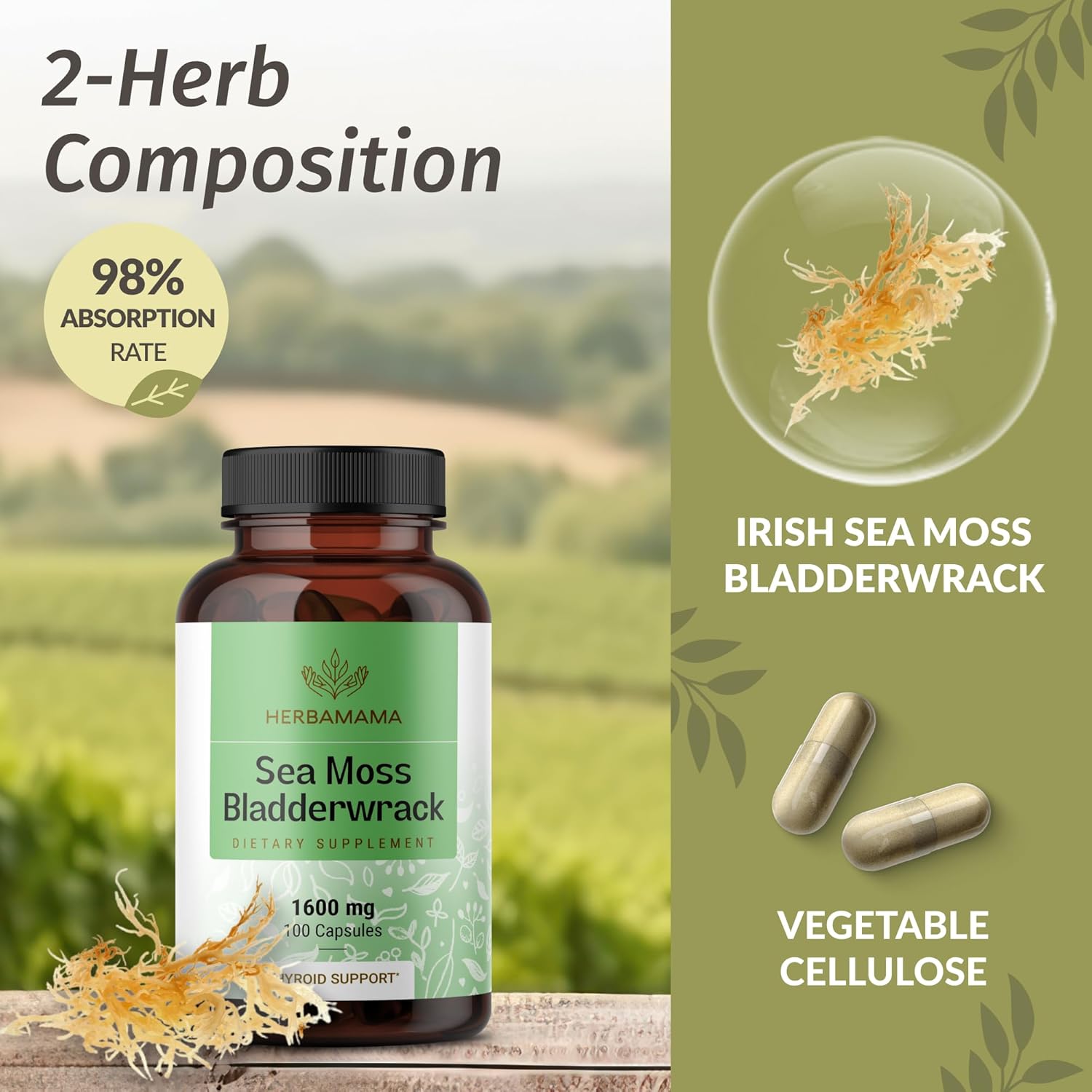 Organic Sea Moss and Bladderwrack Capsules - 1600mg Immune Support Blend - Vegan, Non-GMO Supplement for Overall Health - 100 Capsules