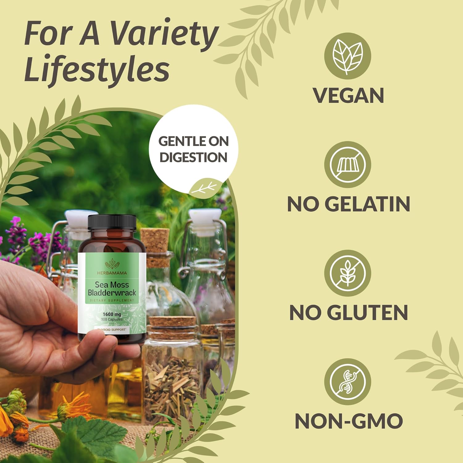 Organic Sea Moss and Bladderwrack Capsules - 1600mg Immune Support Blend - Vegan, Non-GMO Supplement for Overall Health - 100 Capsules