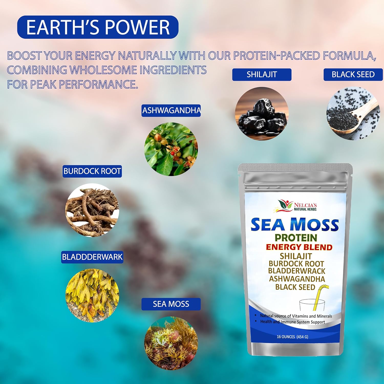 Organic Sea Moss Ashwagandha Protein Powder with Black Seed - Natural Irish Sea Moss, Bladderwrack, Burdock Root, Shilajit (16oz)