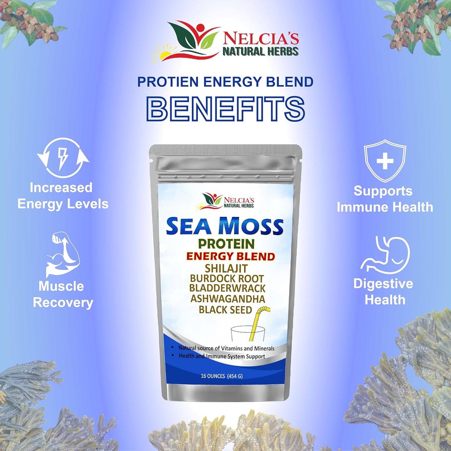 Organic Sea Moss Ashwagandha Protein Powder with Black Seed - Natural Irish Sea Moss, Bladderwrack, Burdock Root, Shilajit (16oz)