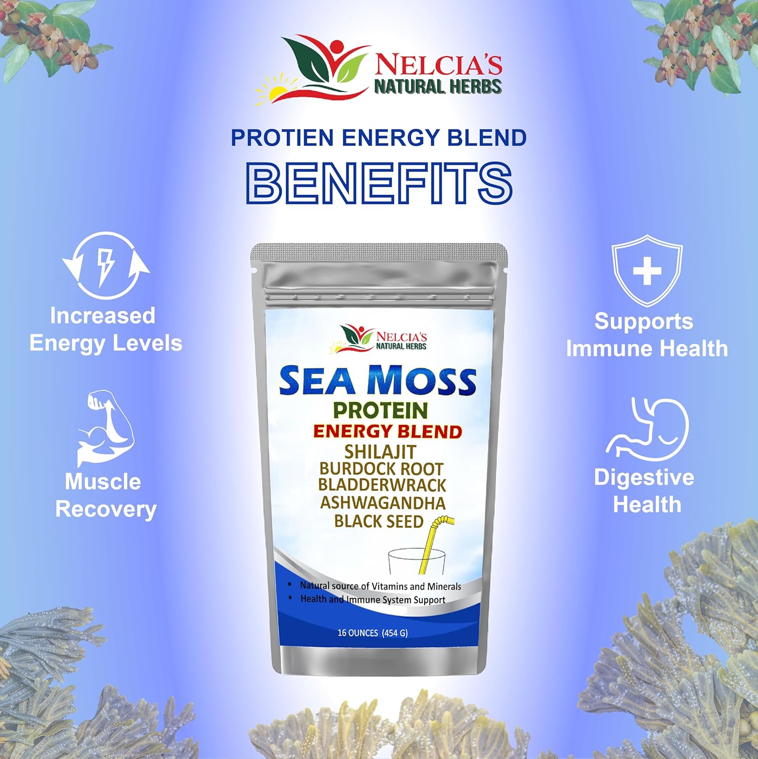 Organic Sea Moss Ashwagandha Protein Powder with Black Seed - Natural Irish Sea Moss, Bladderwrack, Burdock Root, Shilajit (16oz)