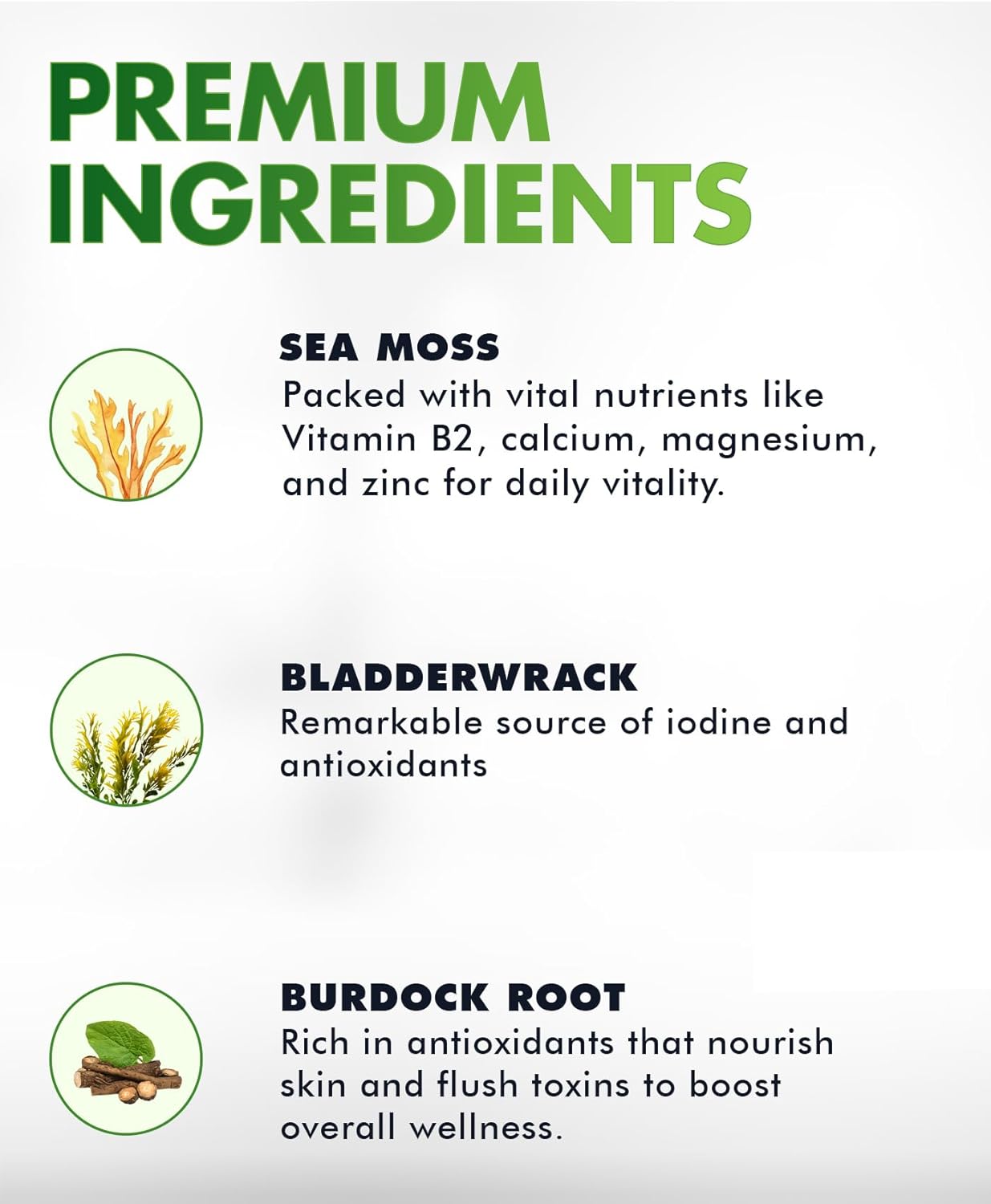 Organic Sea Moss Gummies with Bladderwrack & Burdock Root - Dr Sebi Diet Superfoods for Immune Boosting - Vegan & Keto Friendly (3 Pack) - BoostGo Australia