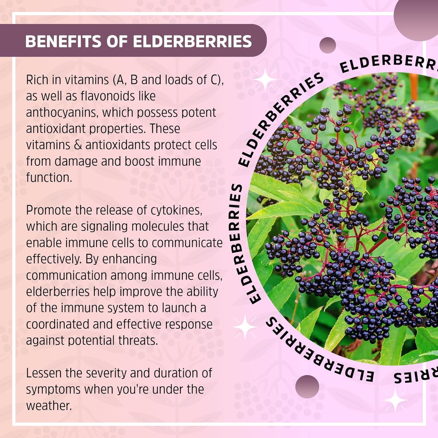 Organic Seattle Elderberry Allergy Support Syrup DIY Kit - Gluten-Free Herbal Supplement with Potent Benefits - 4oz