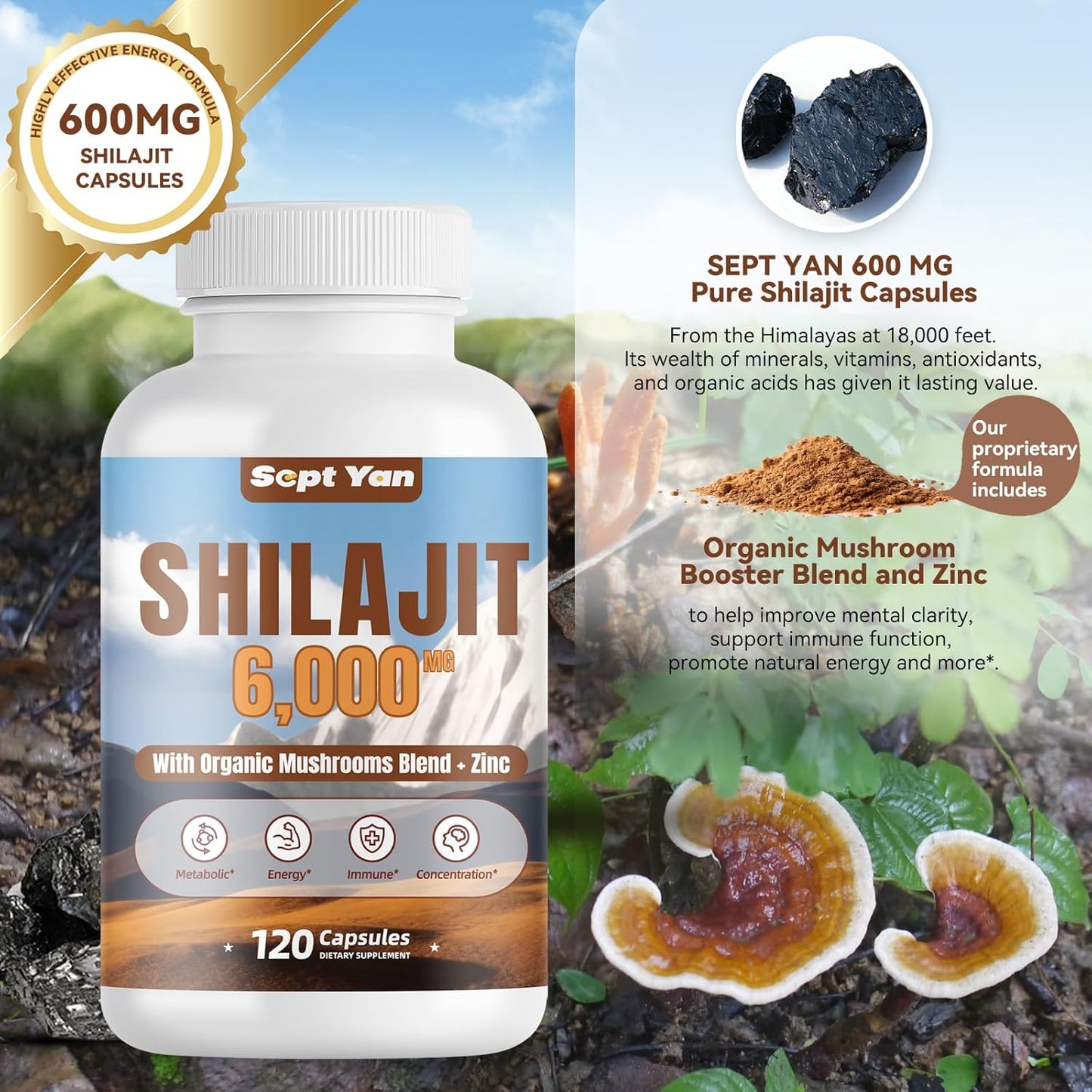 Organic Shilajit Himalayan Capsules with Mushrooms & Zinc - 2 Month Supply for Strength & Immune Health - 120 Count Vegan Supplement for Women & Men