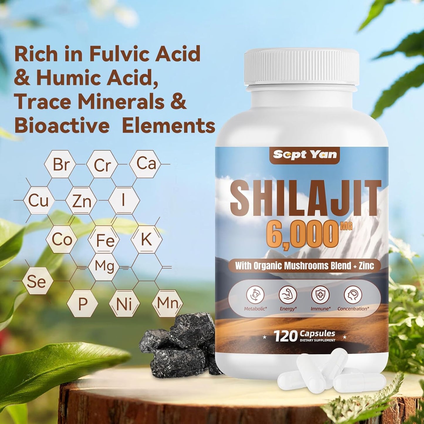 Organic Shilajit Himalayan Capsules with Mushrooms & Zinc - 2 Month Supply for Strength & Immune Health - 120 Count Vegan Supplement for Women & Men