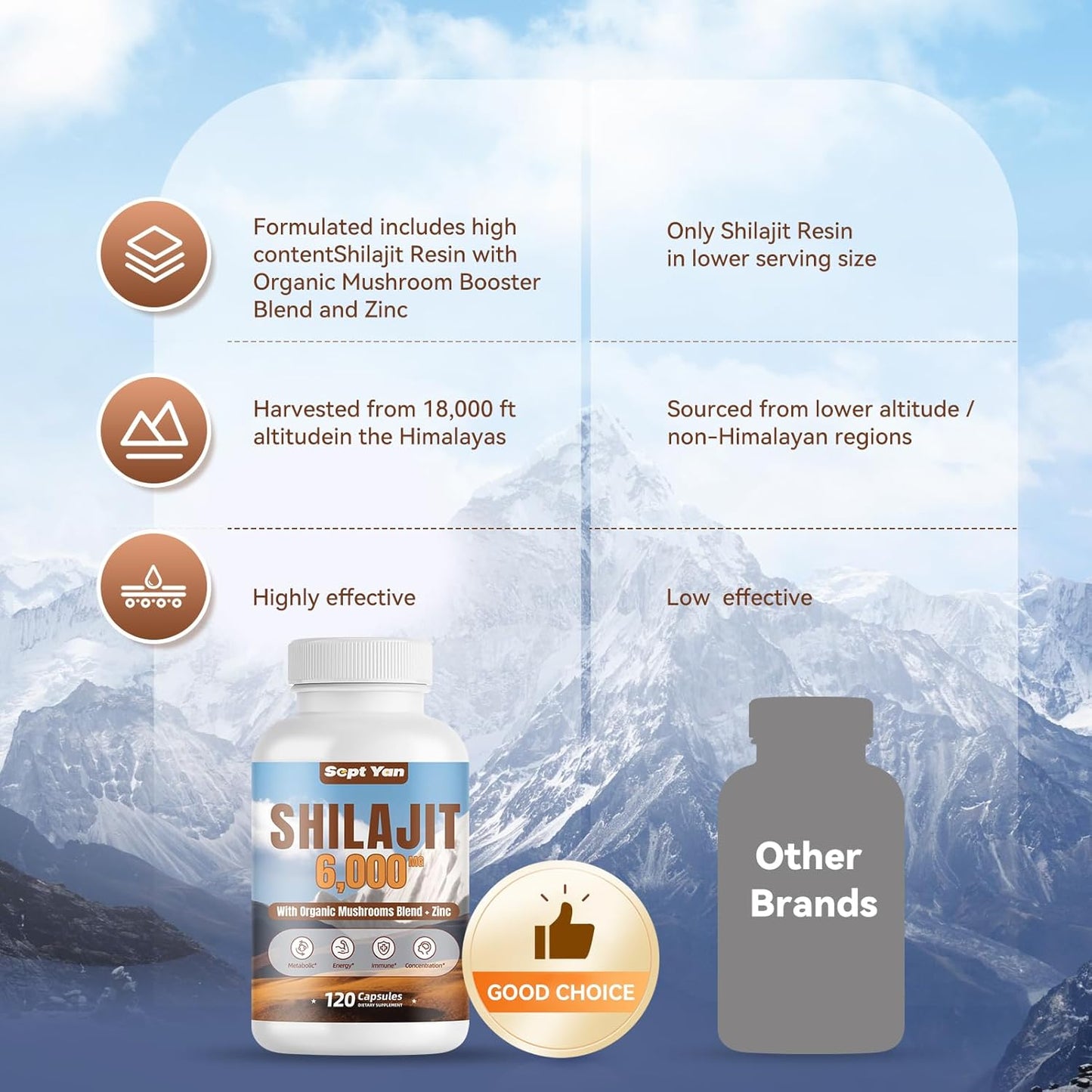 Organic Shilajit Himalayan Capsules with Mushrooms & Zinc - 2 Month Supply for Strength & Immune Health - 120 Count Vegan Supplement for Women & Men