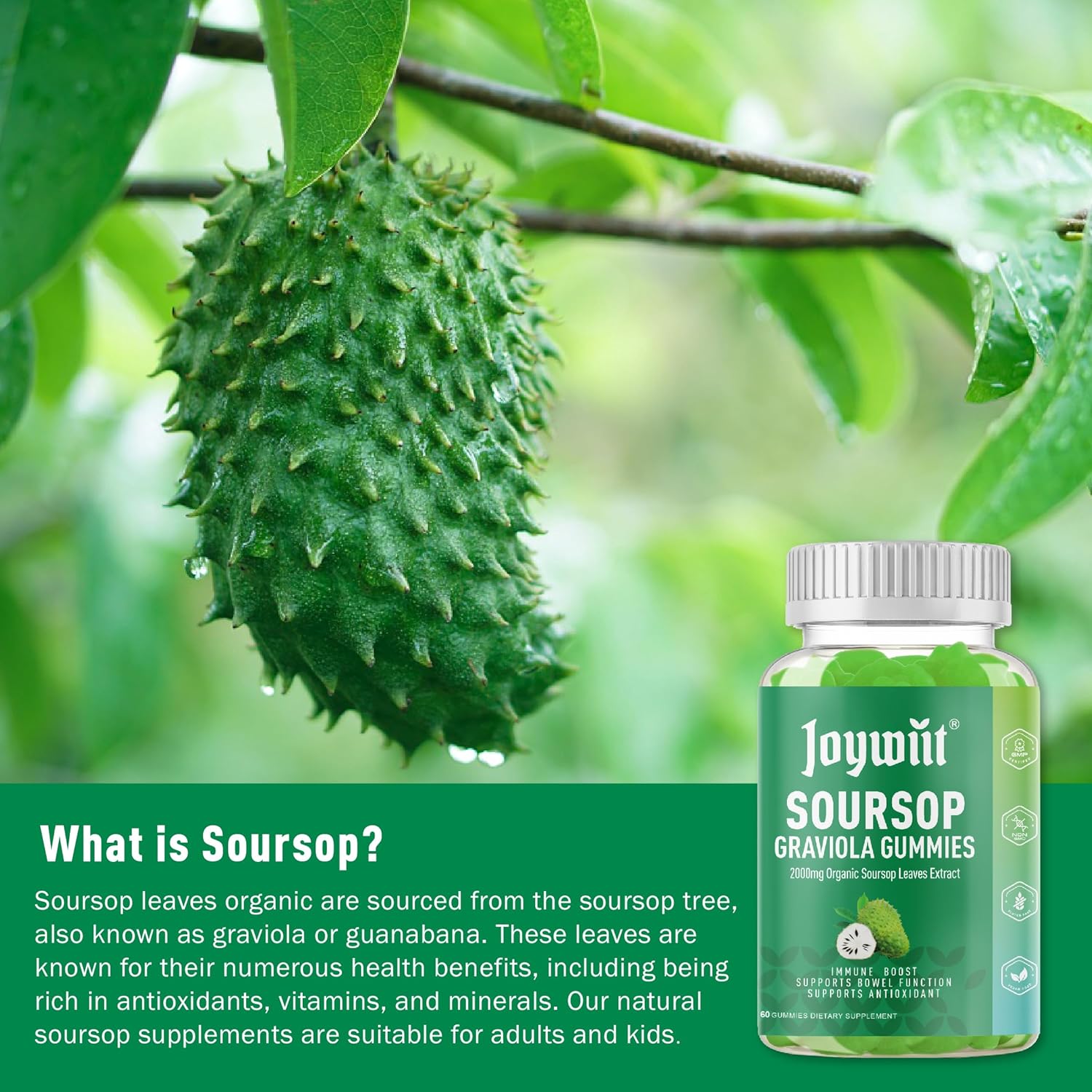 Organic Soursop Graviola Gummies - 2000mg Extract for Immune Support, Antioxidant Boost, Digestive Health - Vegan, Non-GMO - with Vitamin C & Magnesium Glycinate