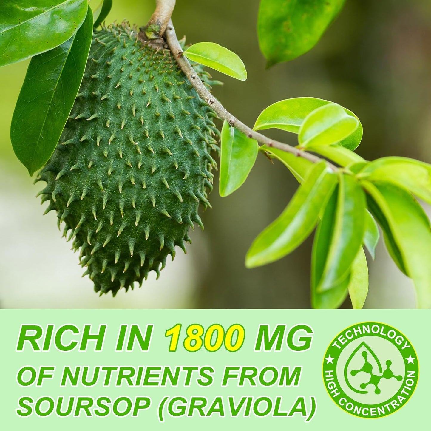 Organic Soursop Graviola Liquid Drops 1800mg - Herbal Antioxidant Support for Immune Health & Cell Function