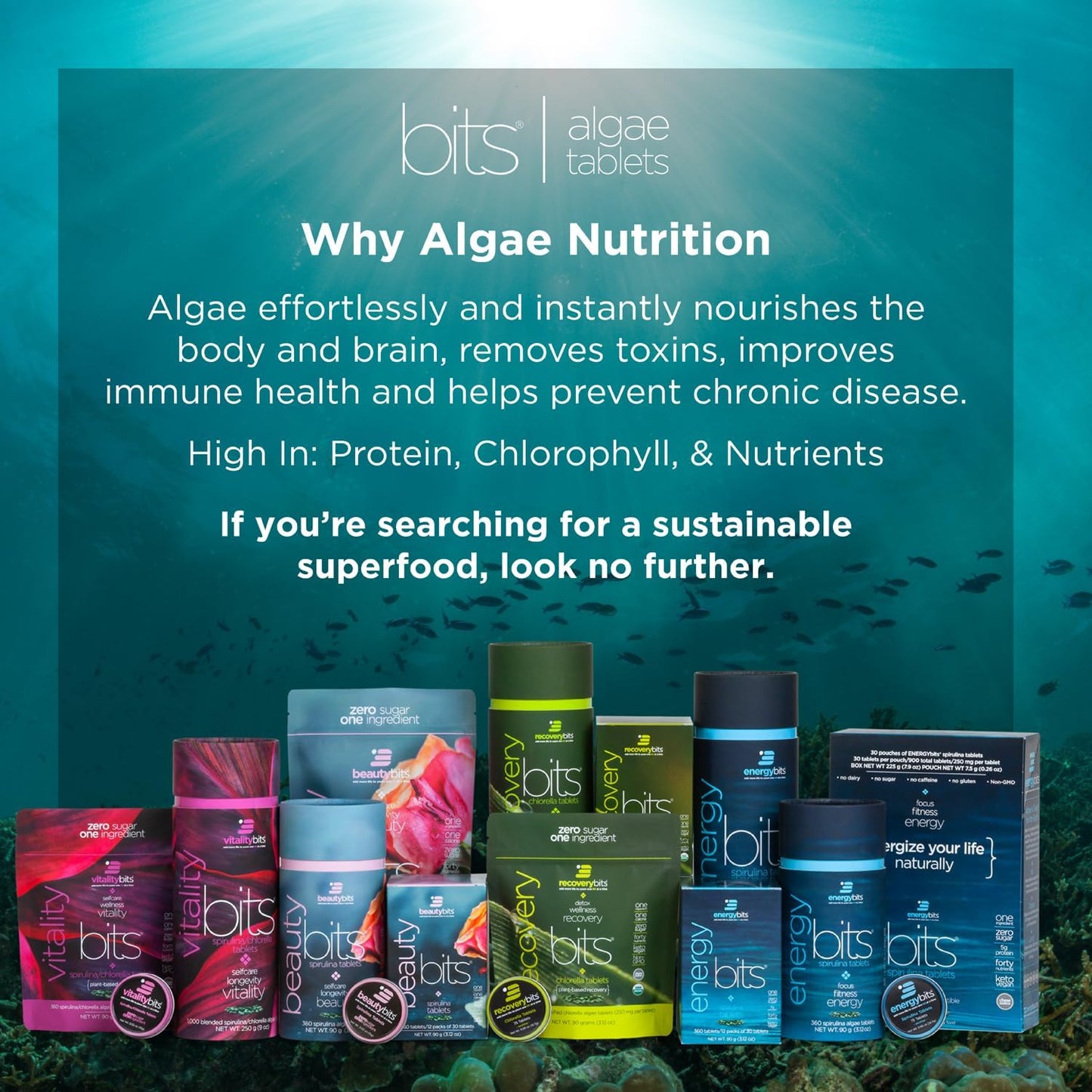 Organic Spirulina & Chlorella Tablets for Energy, Beauty & Self Care - Algae Superfood Supplement - Vegan, Keto, Gluten Free - 60 Tablets