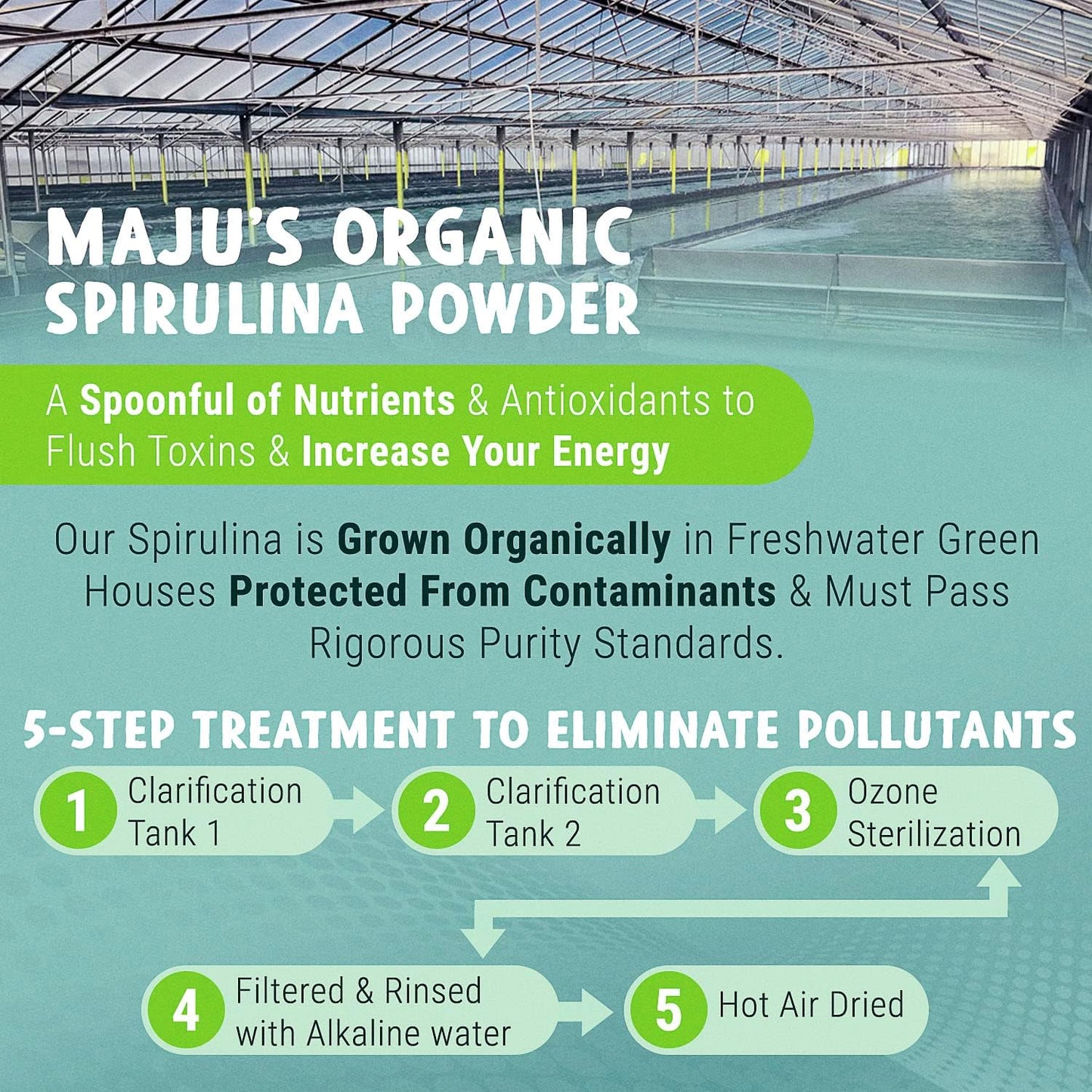 Organic Spirulina Powder 0.5 lb - Non-Irradiated & Microcystin Free - Pure Vegan Green Protein - Superior to Chlorella & Blue Algae