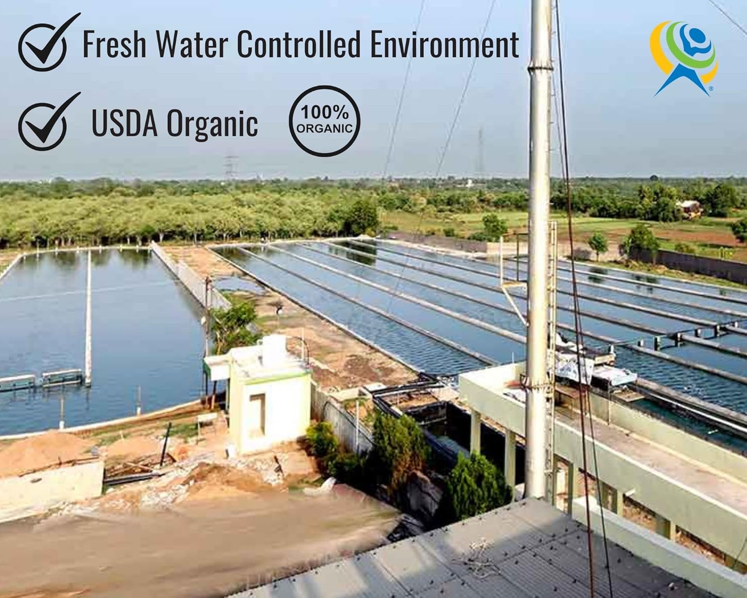 Organic Spirulina Tablets - 1000 Count | USDA Certified | Energy Boosting | Anti-Inflammatory | High Quality Protein | Vegan | Enhances Athletic Performance