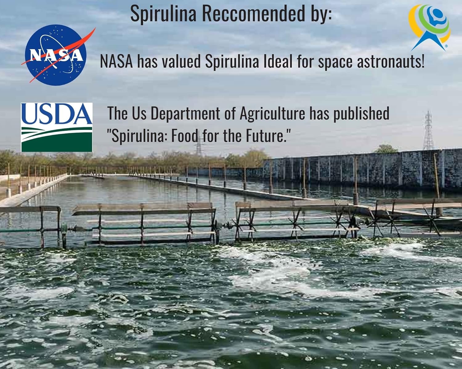 Organic Spirulina Tablets - 1000 Count | USDA Certified | Energy Boosting | Anti-Inflammatory | High Quality Protein | Vegan | Enhances Athletic Performance