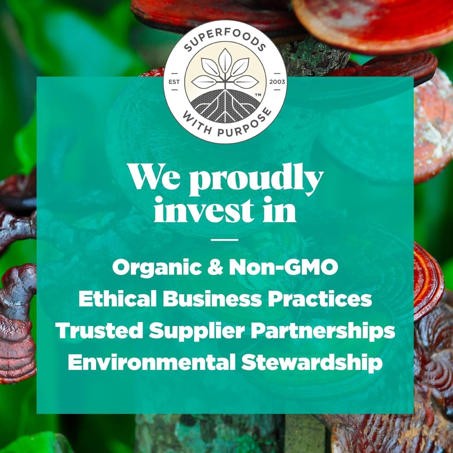 Organic Stress Support Superfood Blend with Adaptogens - Maca, Reishi, Ashwagandha - 6.3oz Bag, 30 Servings - Non-GMO, Vegan, Gluten-Free, Keto, Paleo