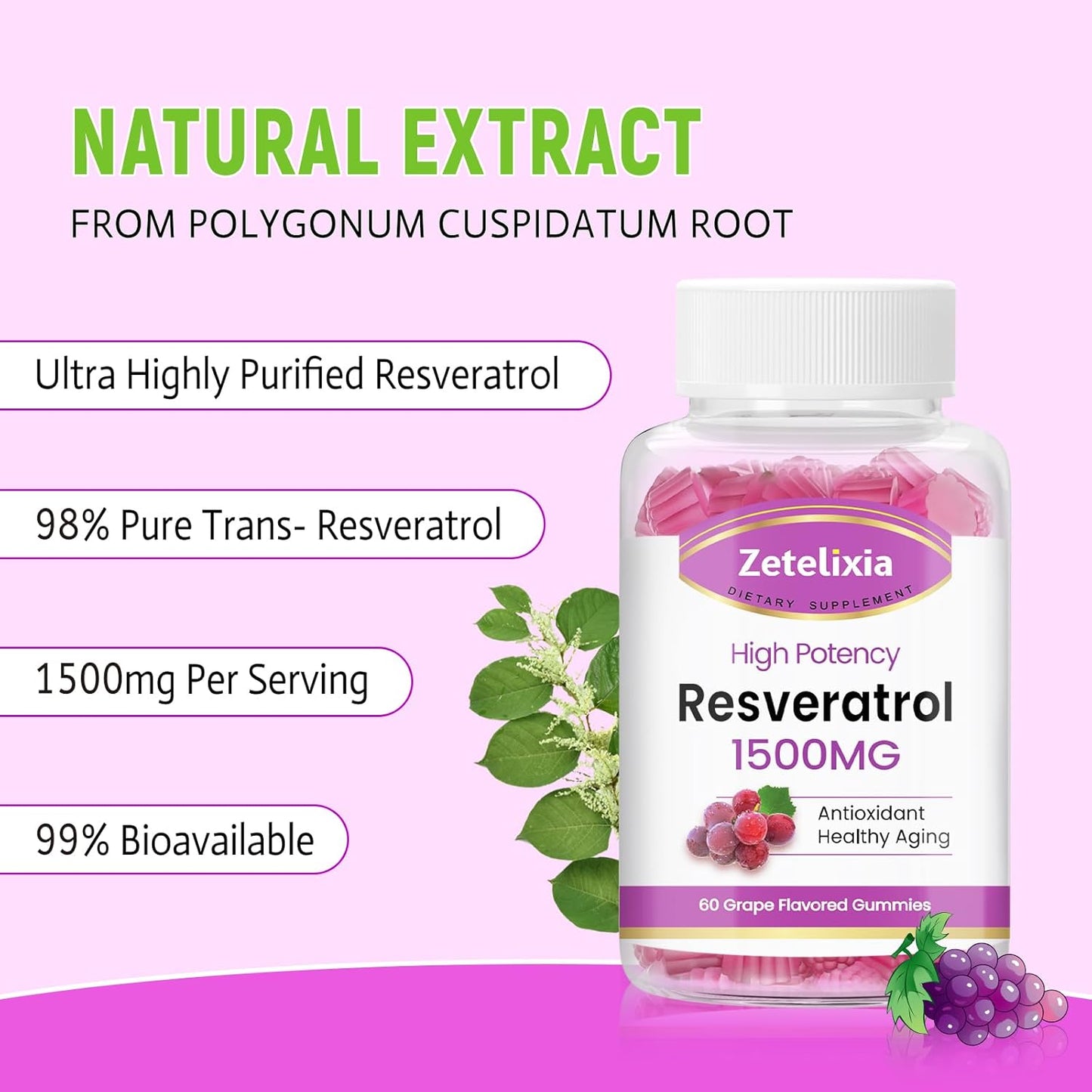 Organic Sugar-Free Resveratrol Gummies - Premium Antioxidant Supplement for Skin, Brain, Healthy Aging - 120 Count - BoostGo Australia