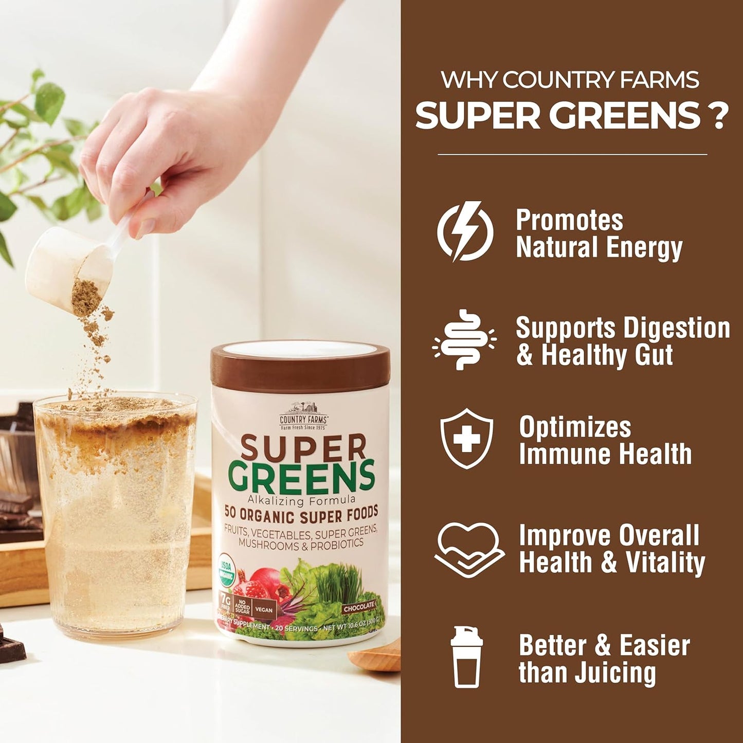 Organic Super Greens Chocolate Drink Mix with 50 Superfoods, Mushrooms, and Probiotics for Energy - 40 Servings, 10.6 Oz (2 Pack)