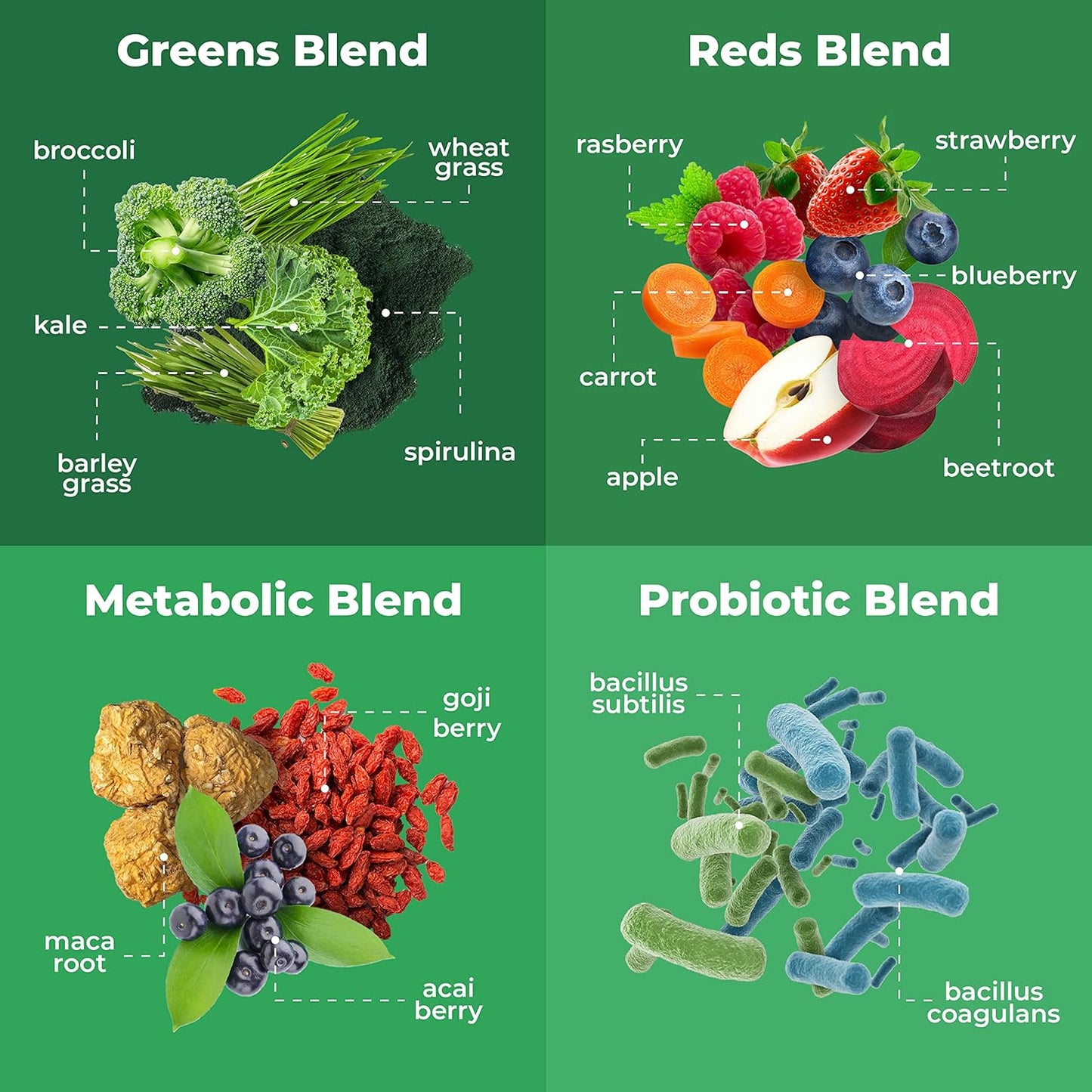 Organic Super Greens Powder Travel Packs - 14 Servings for Memory & Digestion - Vegan & Non-GMO - Rich in Spirulina, Goji, Beetroot, Pomegranate - Best Taste
