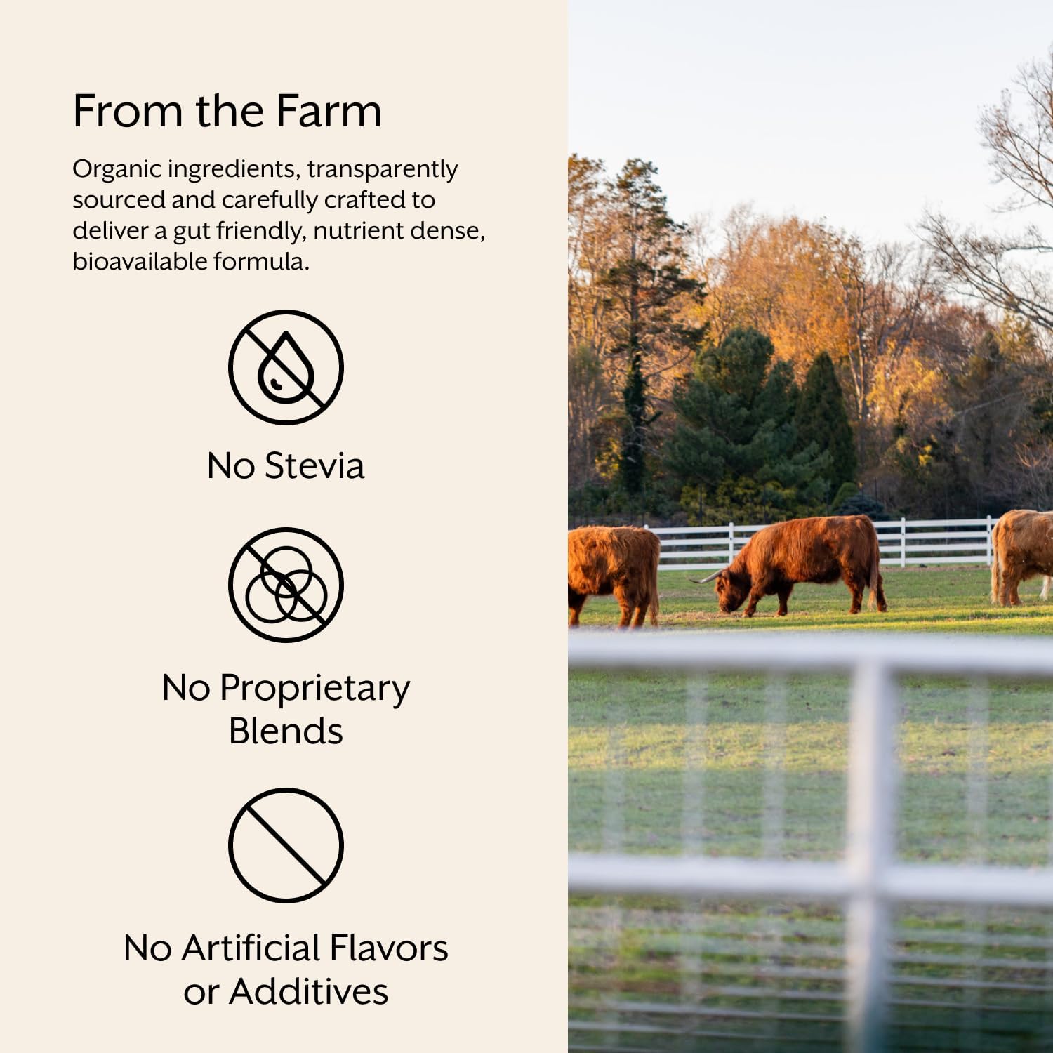 Organic Superfood Blend with Sprouted Alfalfa, Wheatgrass, Ashwagandha, & Rhodiola - 30 Servings by ProMix Nutrition - BoostGo Australia