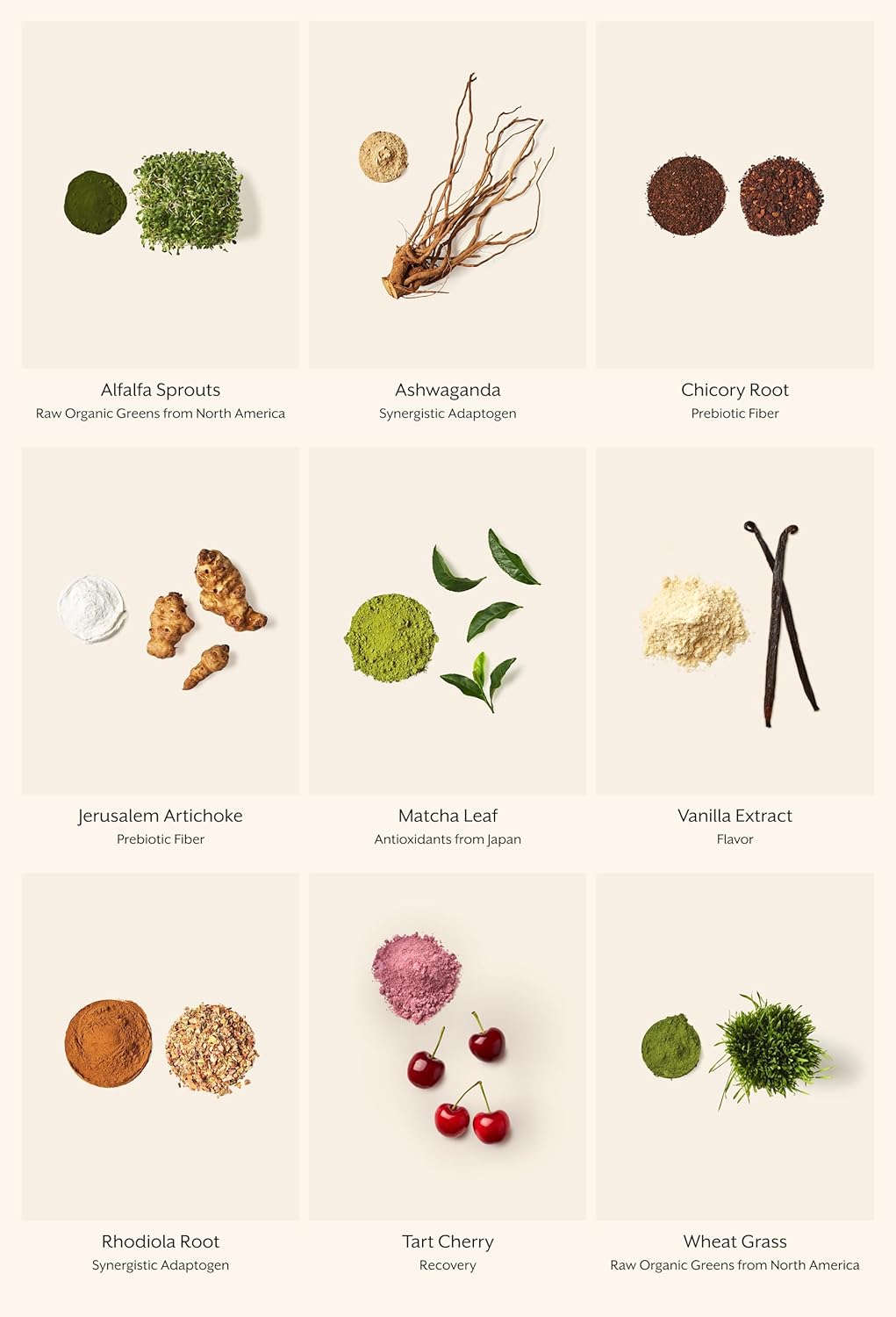 Organic Superfood Blend with Sprouted Alfalfa, Wheatgrass, Ashwagandha, & Rhodiola - 30 Servings by ProMix Nutrition - BoostGo Australia