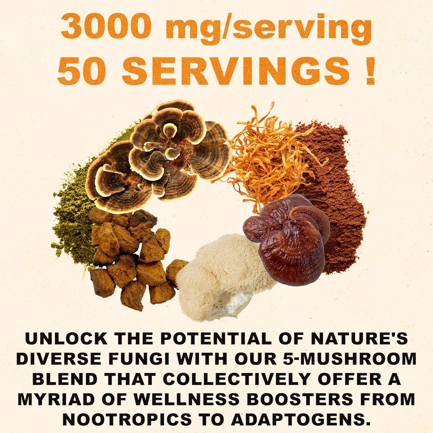 Organic Superfood Mushroom Powder Blend for Focus & Energy - Cacao & Matcha Magic (50 Servings)