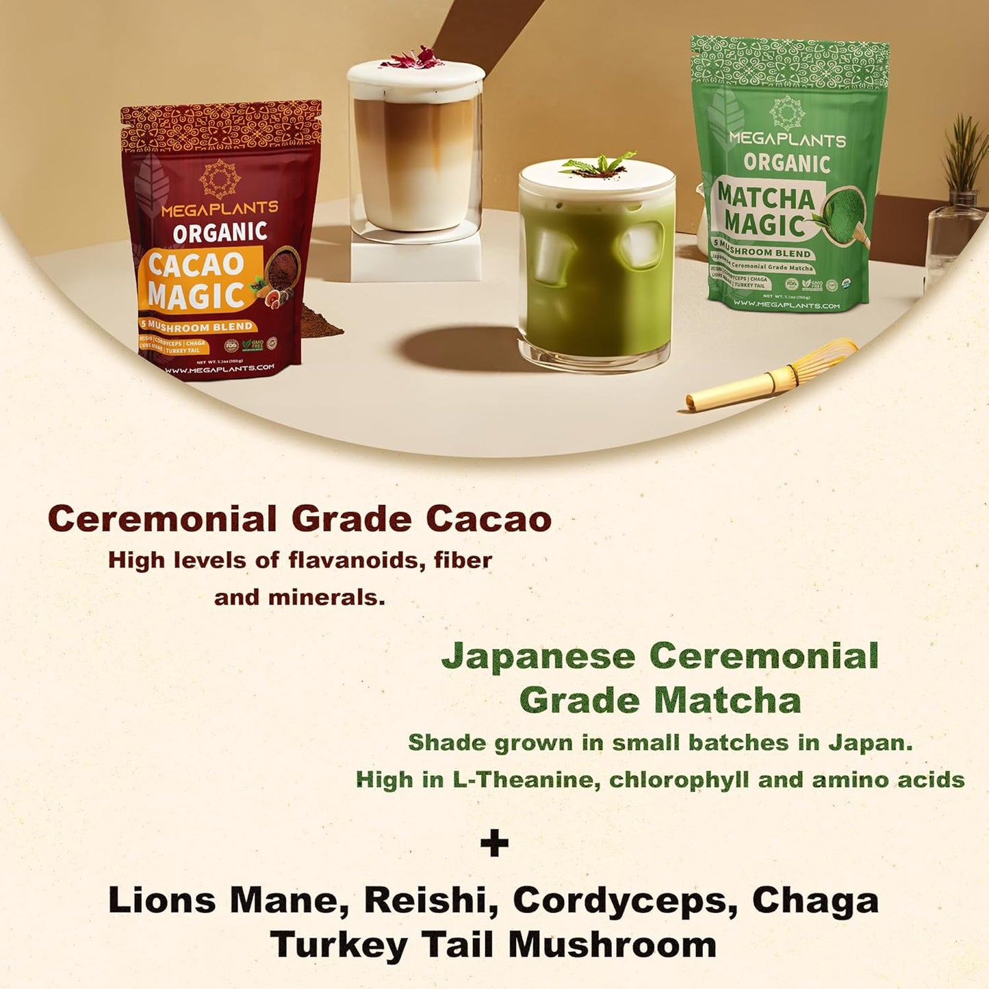 Organic Superfood Mushroom Powder Blend for Focus & Energy - Cacao & Matcha Magic (50 Servings)